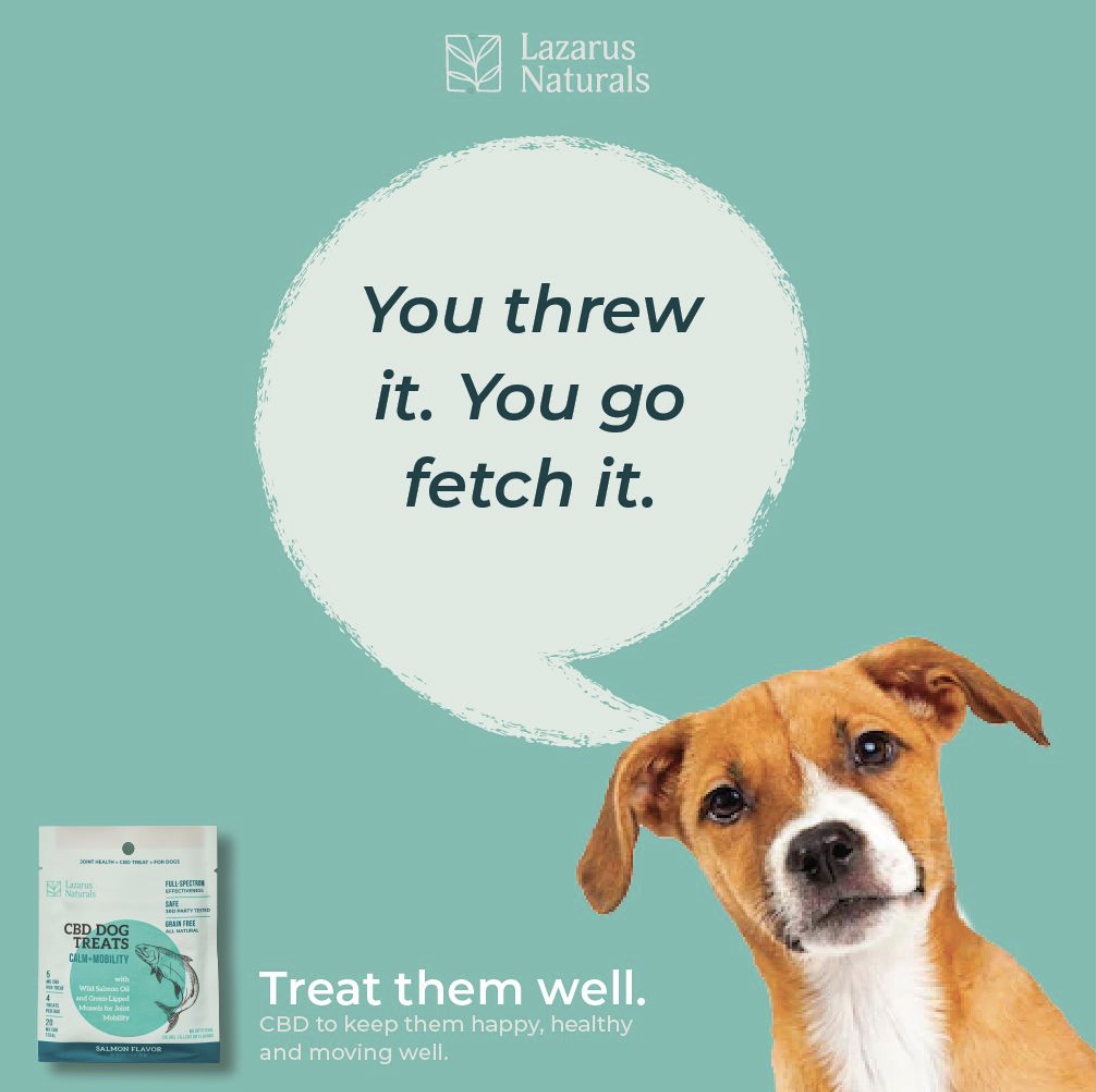 Screen Shot 2021-02-10 at 3.40.04 PM.png