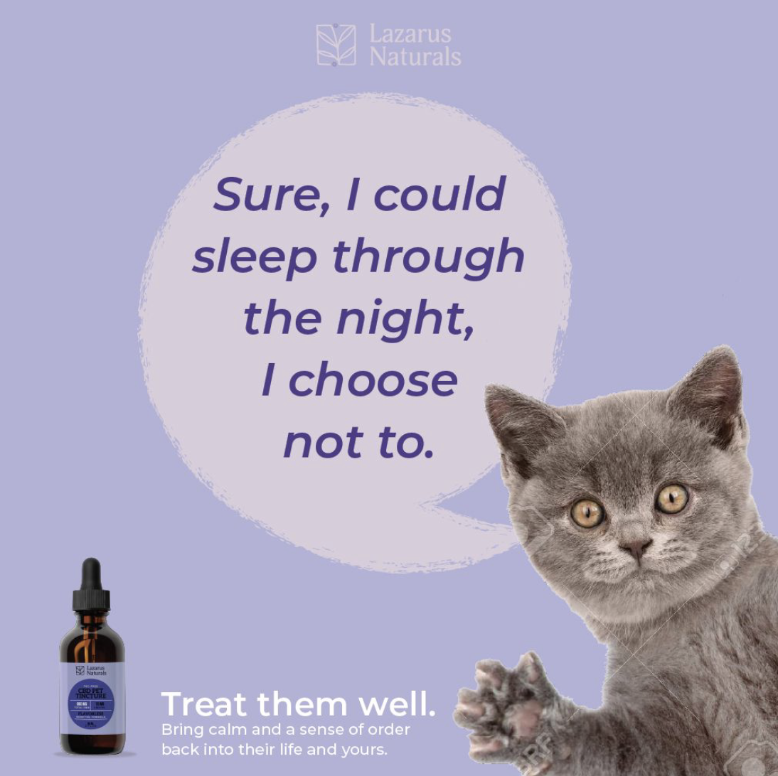 Screen Shot 2021-02-10 at 3.39.55 PM.png