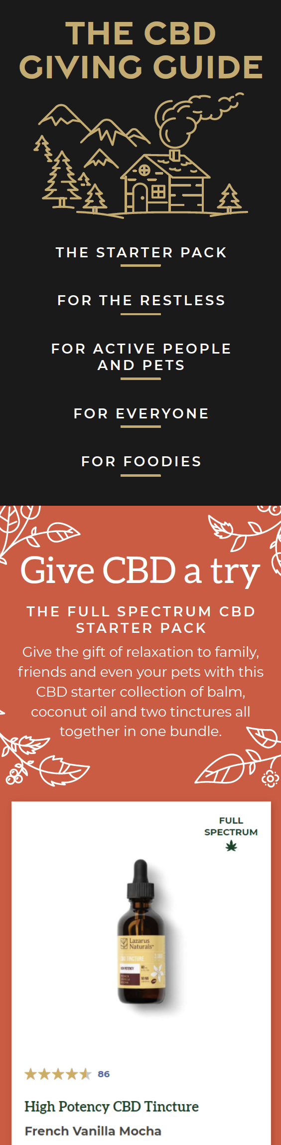 Screen Shot 2021-02-10 at 4.30.53 PM.png