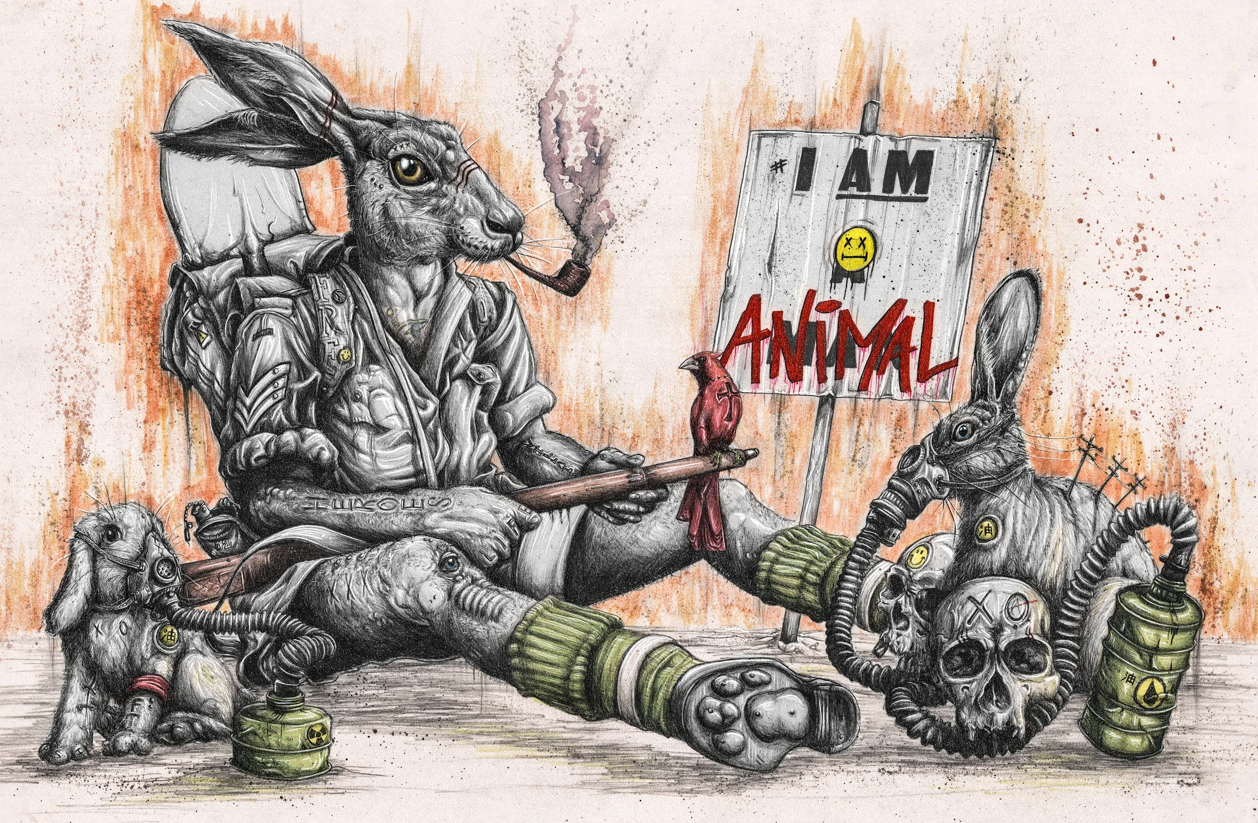 Rabbit.jpg