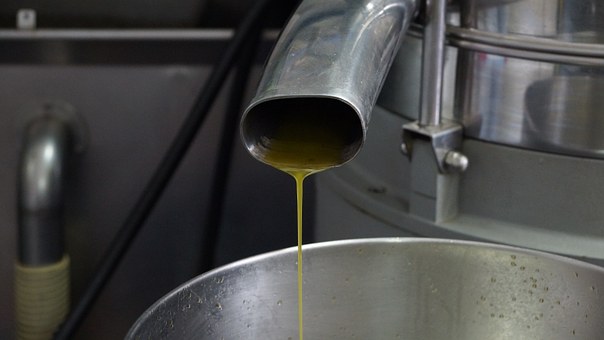 olive-oil-610366__340.jpg