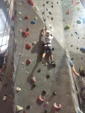 5b.jpg