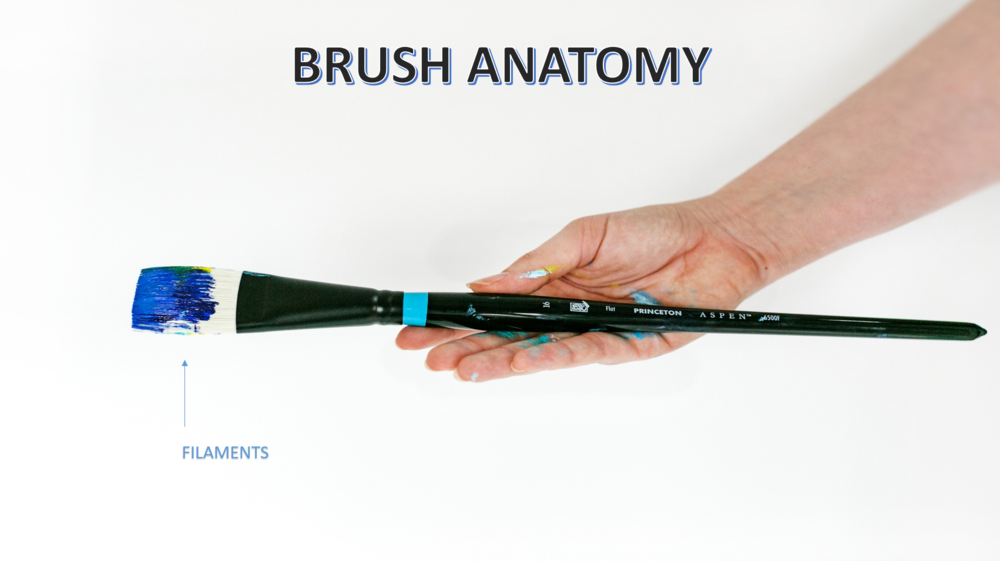  Now, the head of the brush also known as filaments or bristles. 