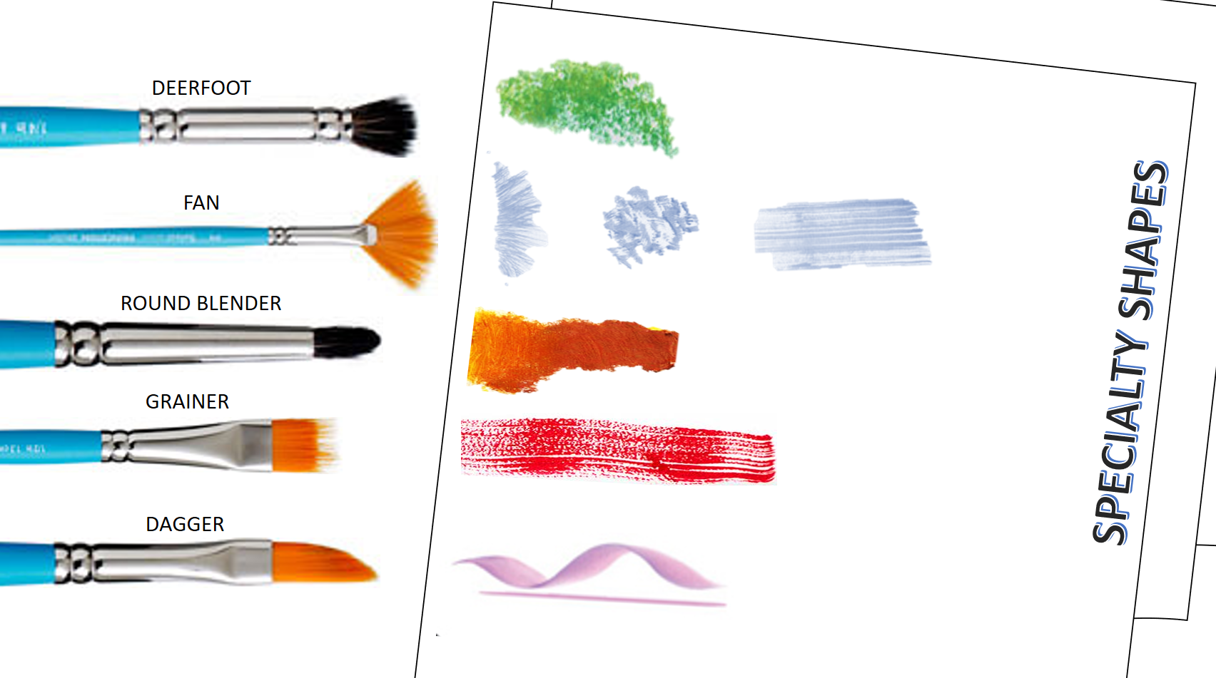  The  Fan brush  is one of the most popular specialty brushes. You can use it in so many different ways.  blending and softening edges with oil paint.  creating different textures like grass, hair or trees. (If you’ve ever seen Bob ross paint happy t