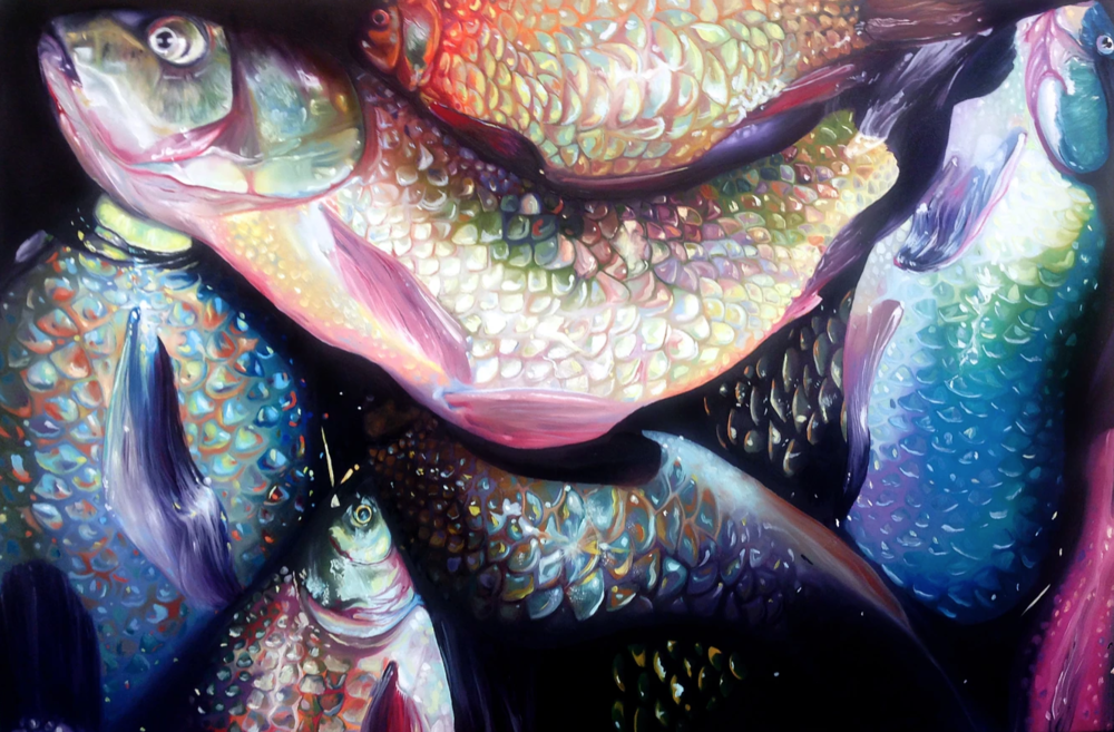 Fish out of Water