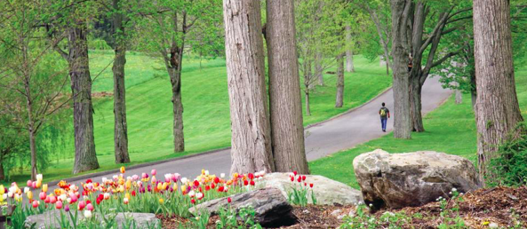 Screen Shot 2022-01-04 at 9.40.53 AM.png