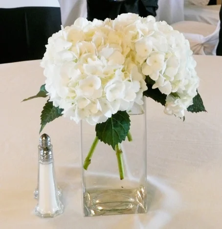 wedding7.jpg