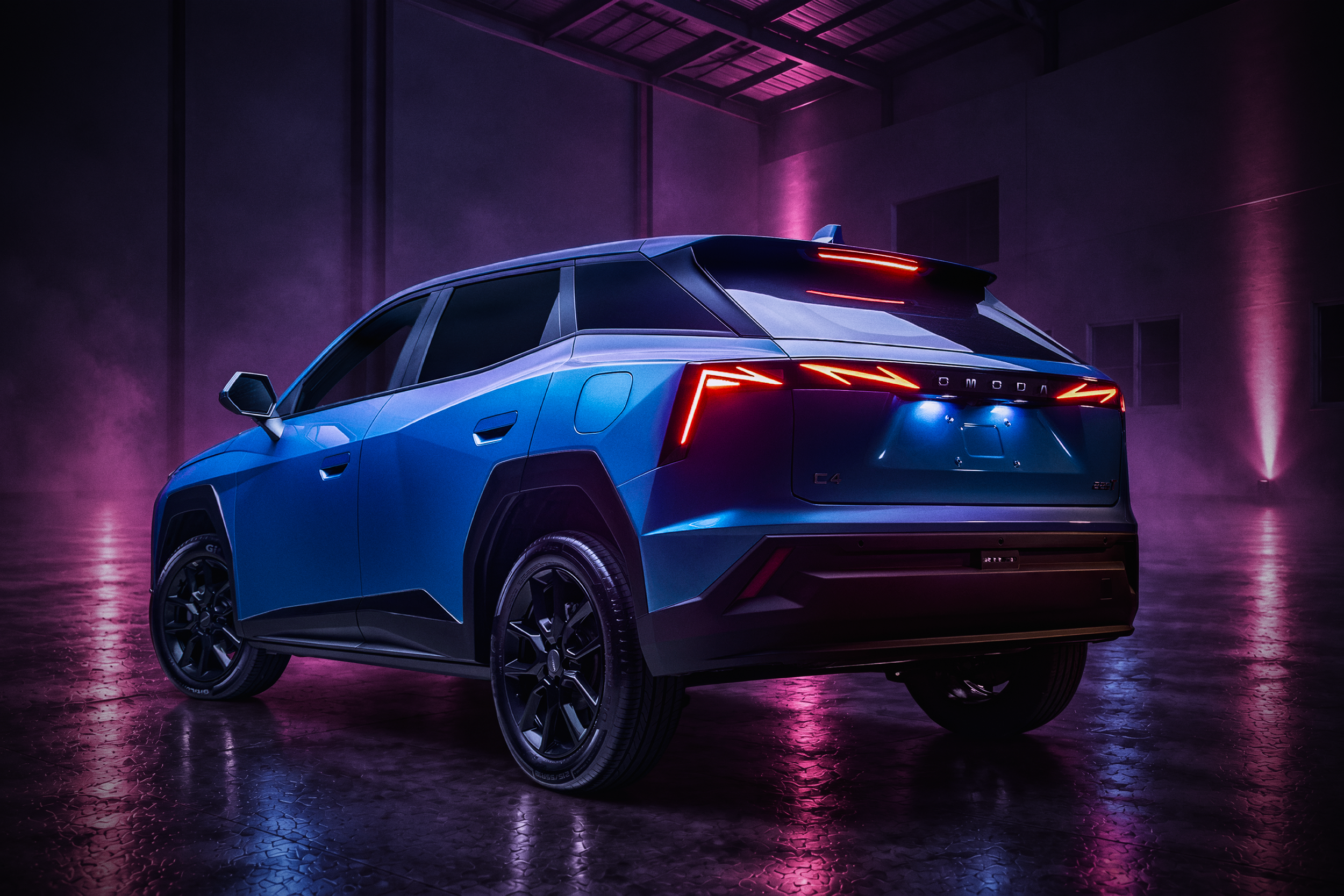 OMODA0590.png