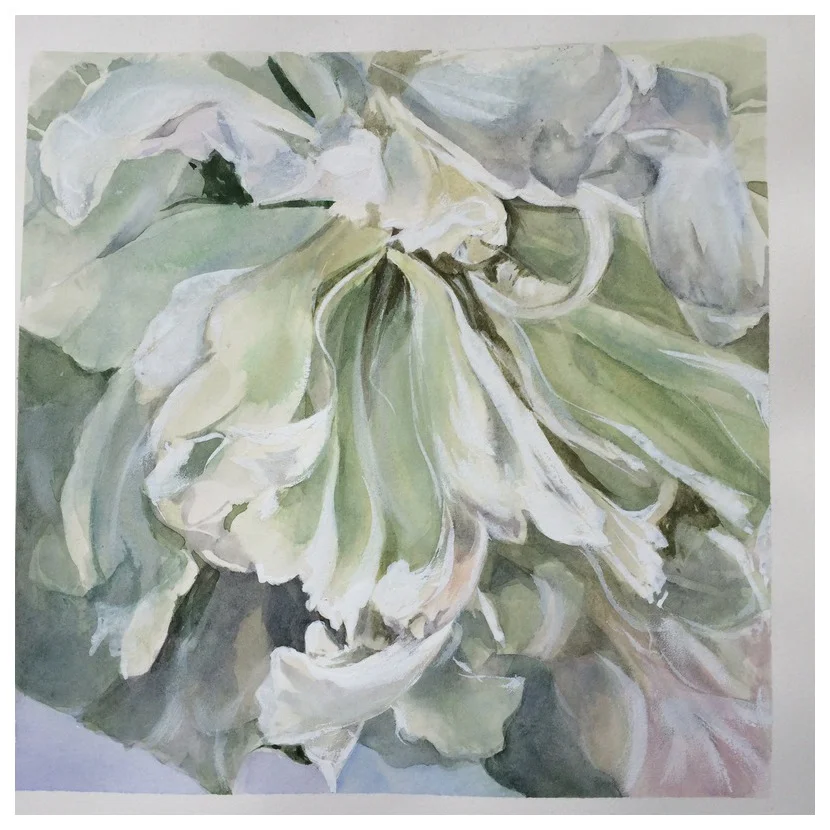 Peony