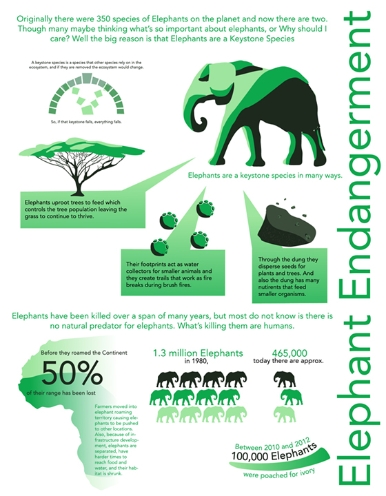 Elephant Endangerment