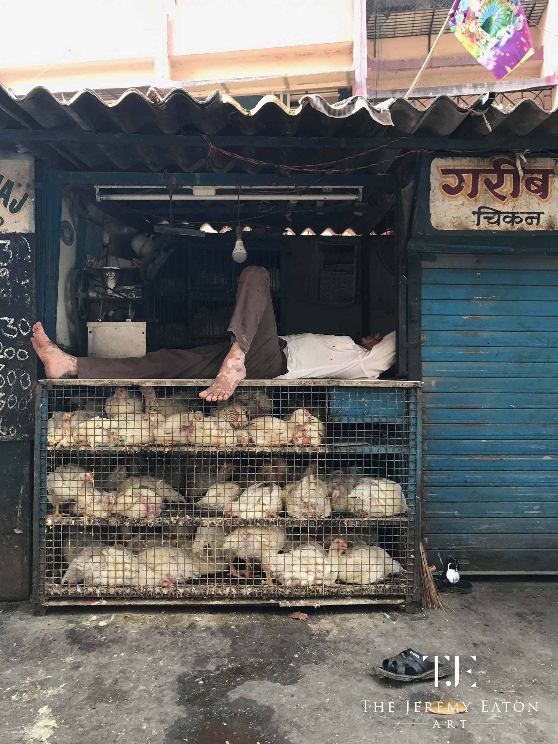 Man & Chicken