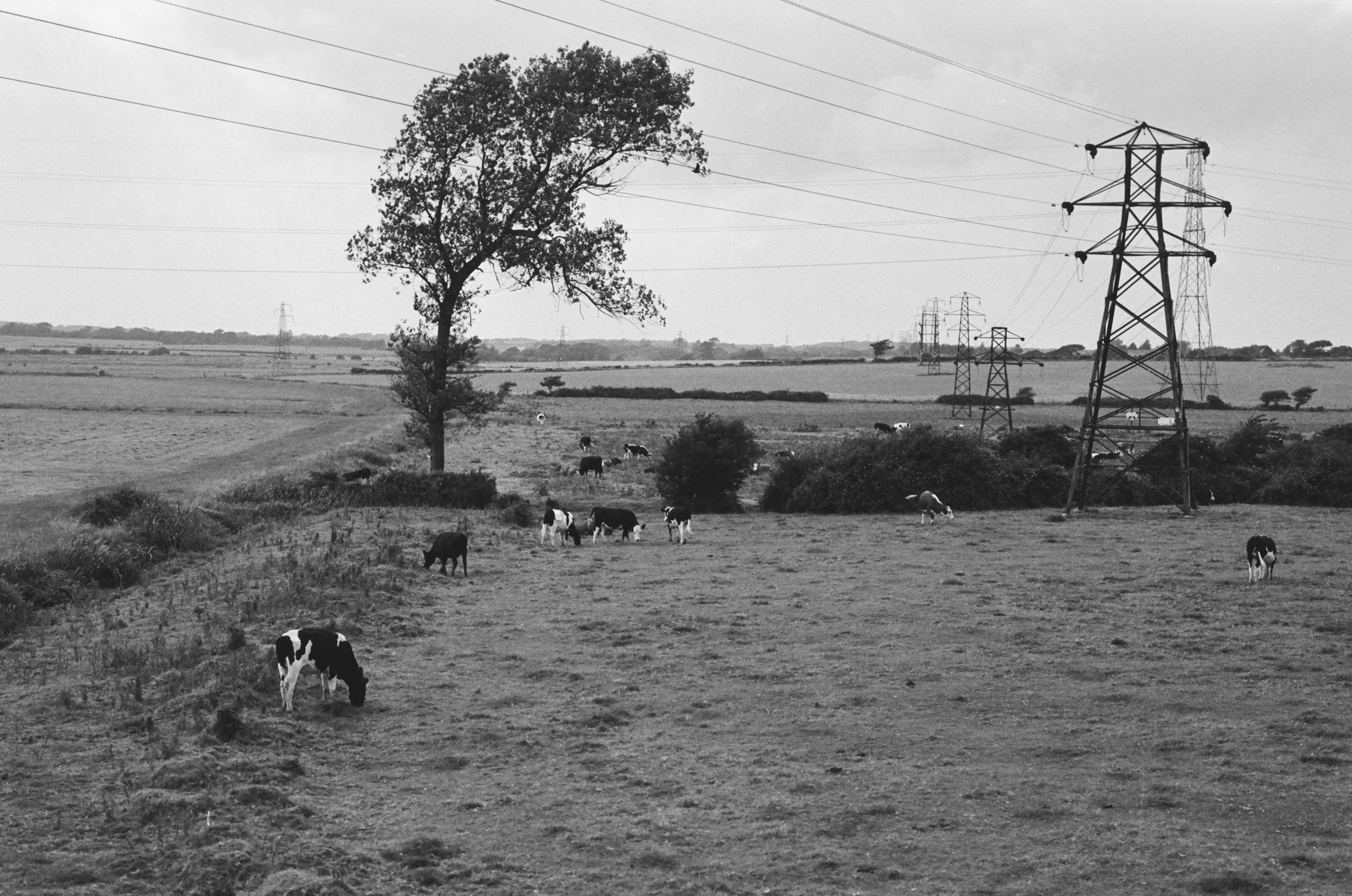 102301_JRO_001_14b.jpeg
