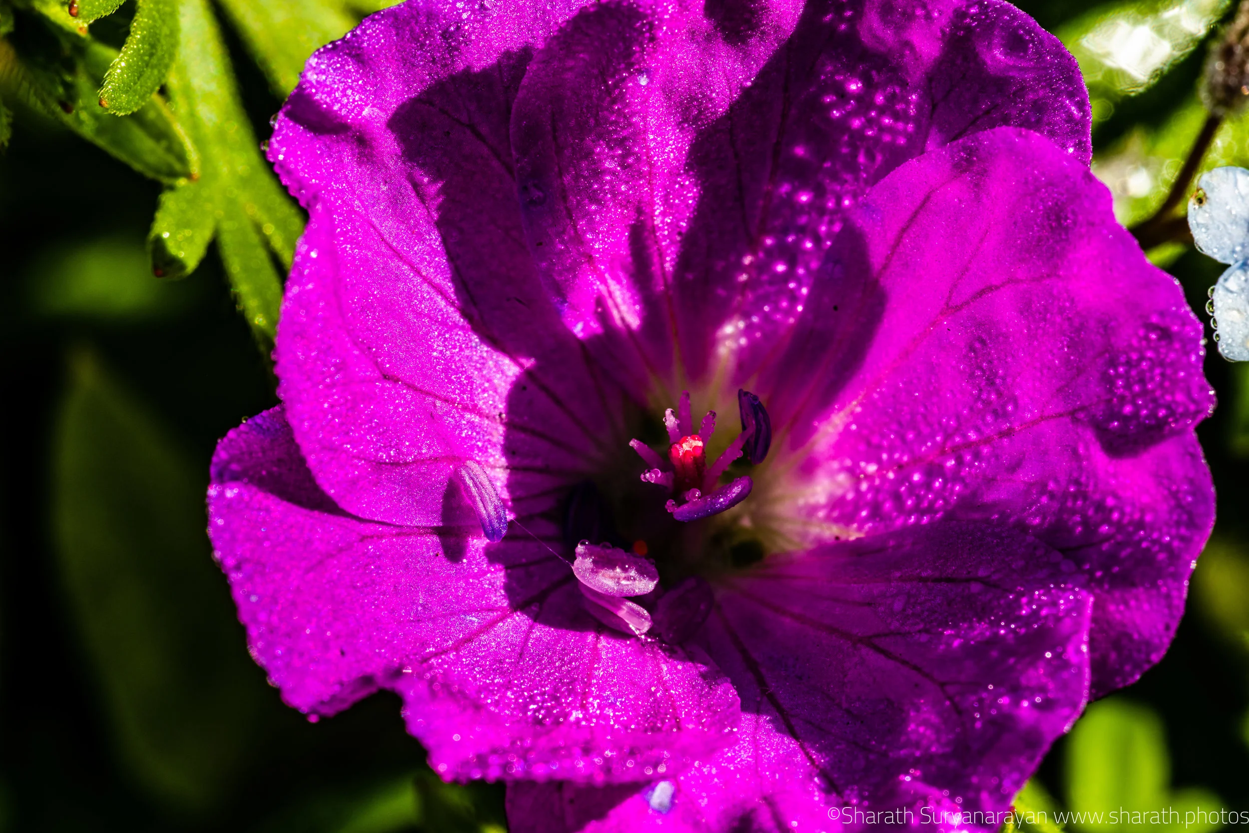 SF-Spring-2018-26.jpg