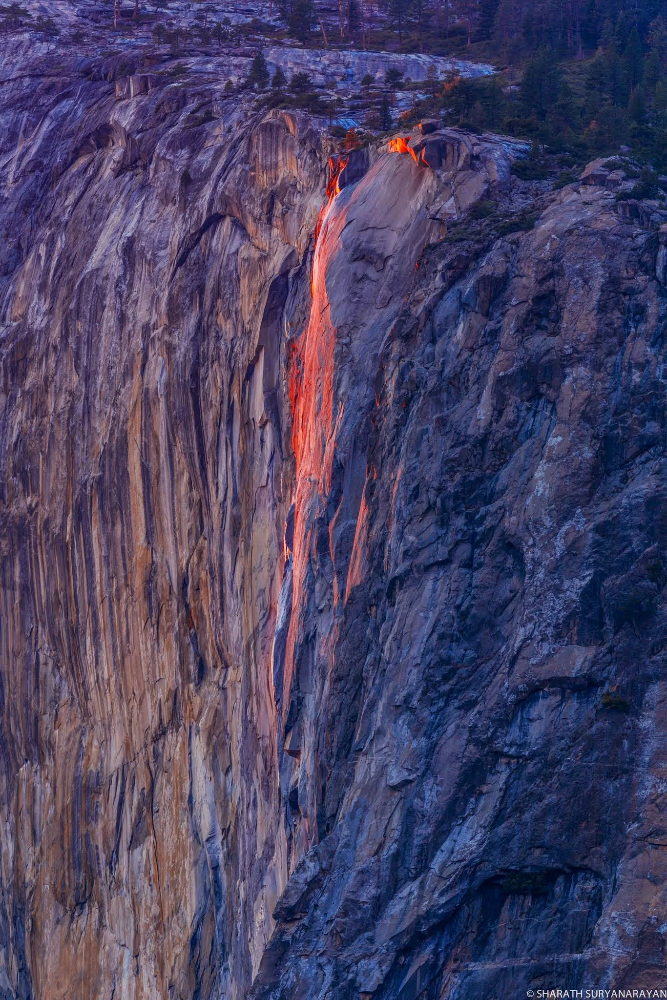 Yosemite-Feb2015-5.jpg