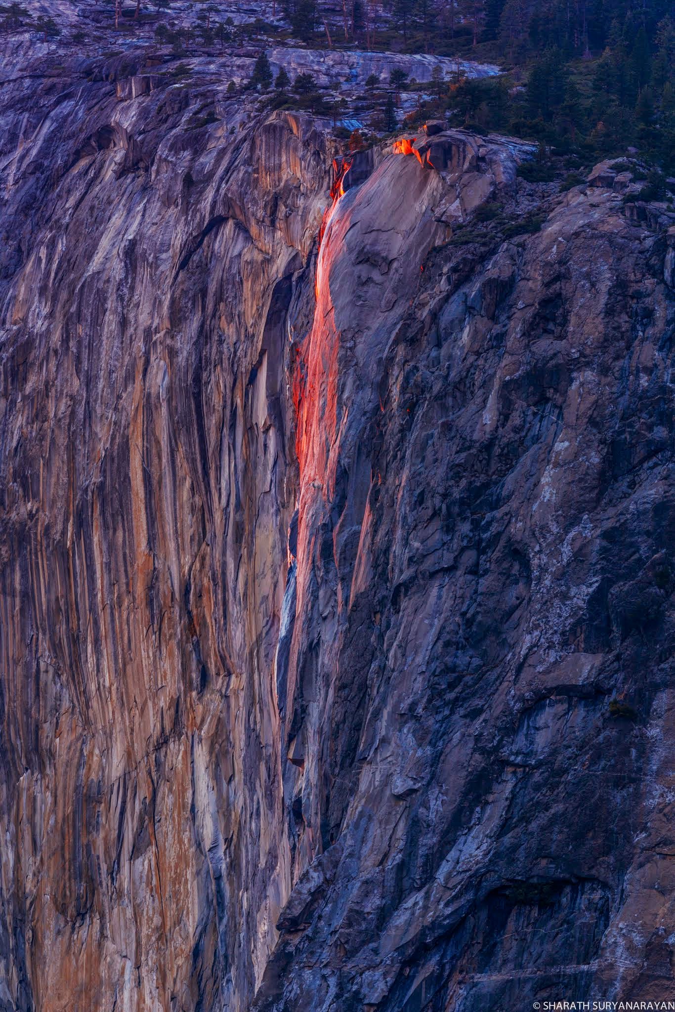 Yosemite-Feb2015-7.jpg
