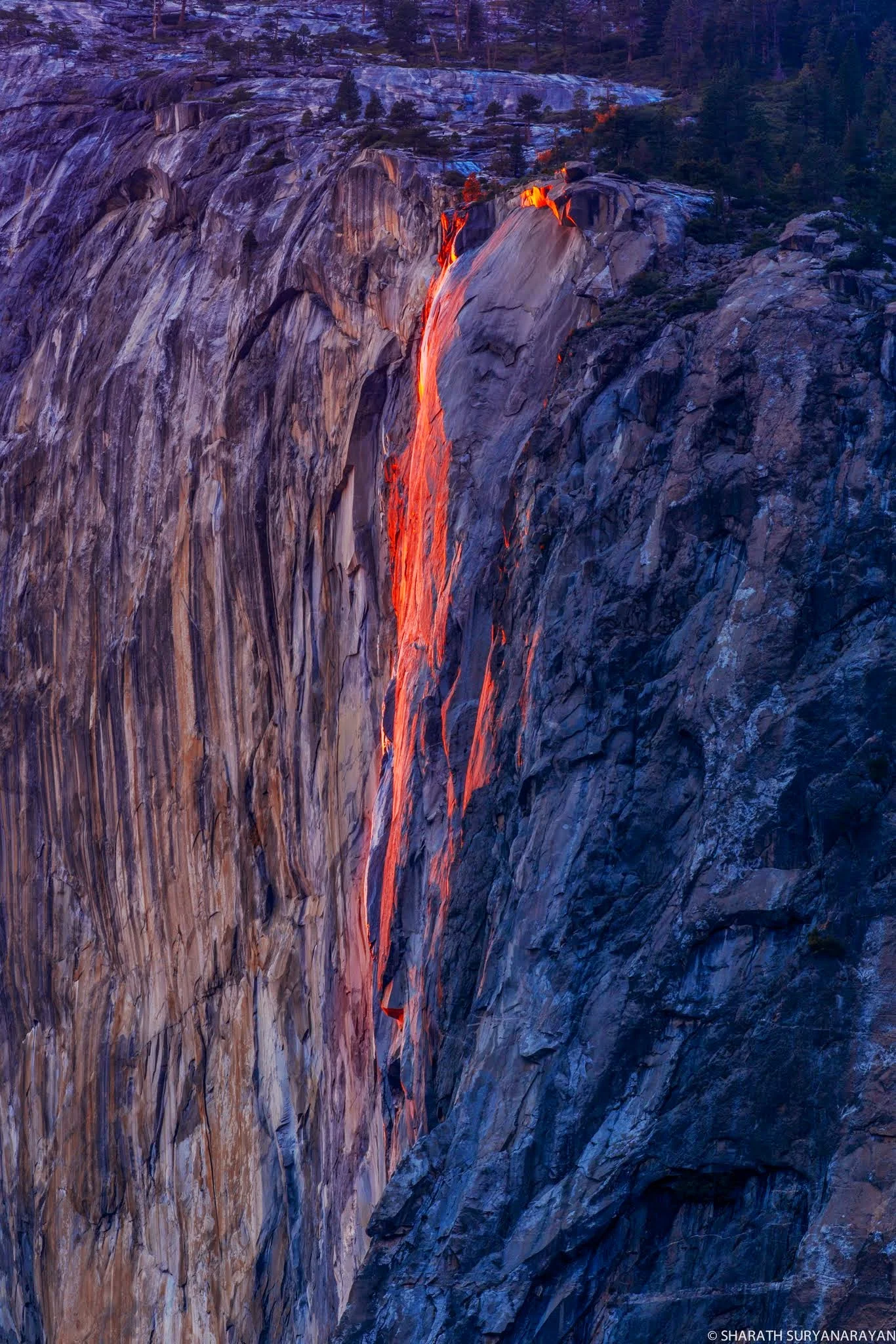 Yosemite-Feb2015-3.jpg
