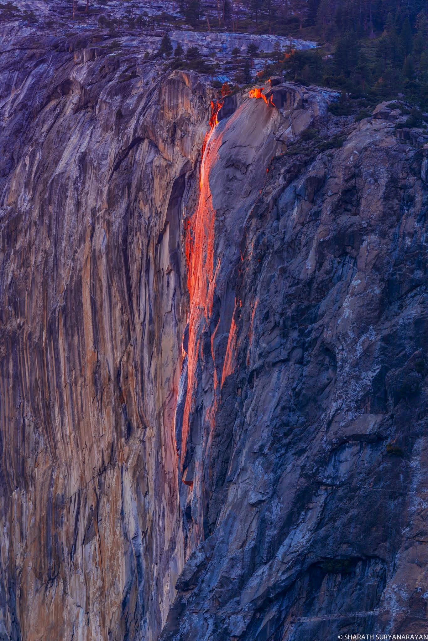 Yosemite-Feb2015-4.jpg