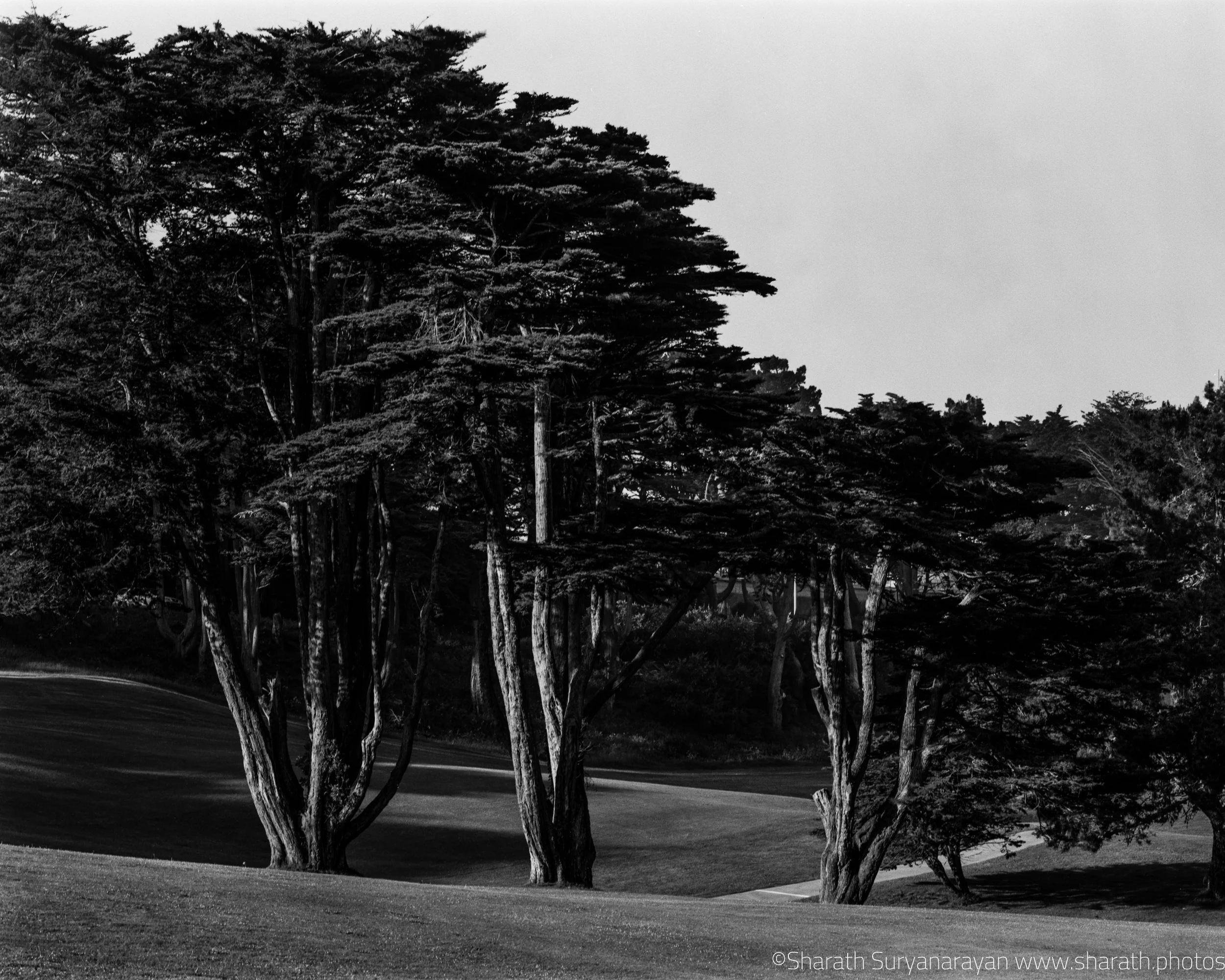 View from Lands End Trail near Legion of Honor San Francisco