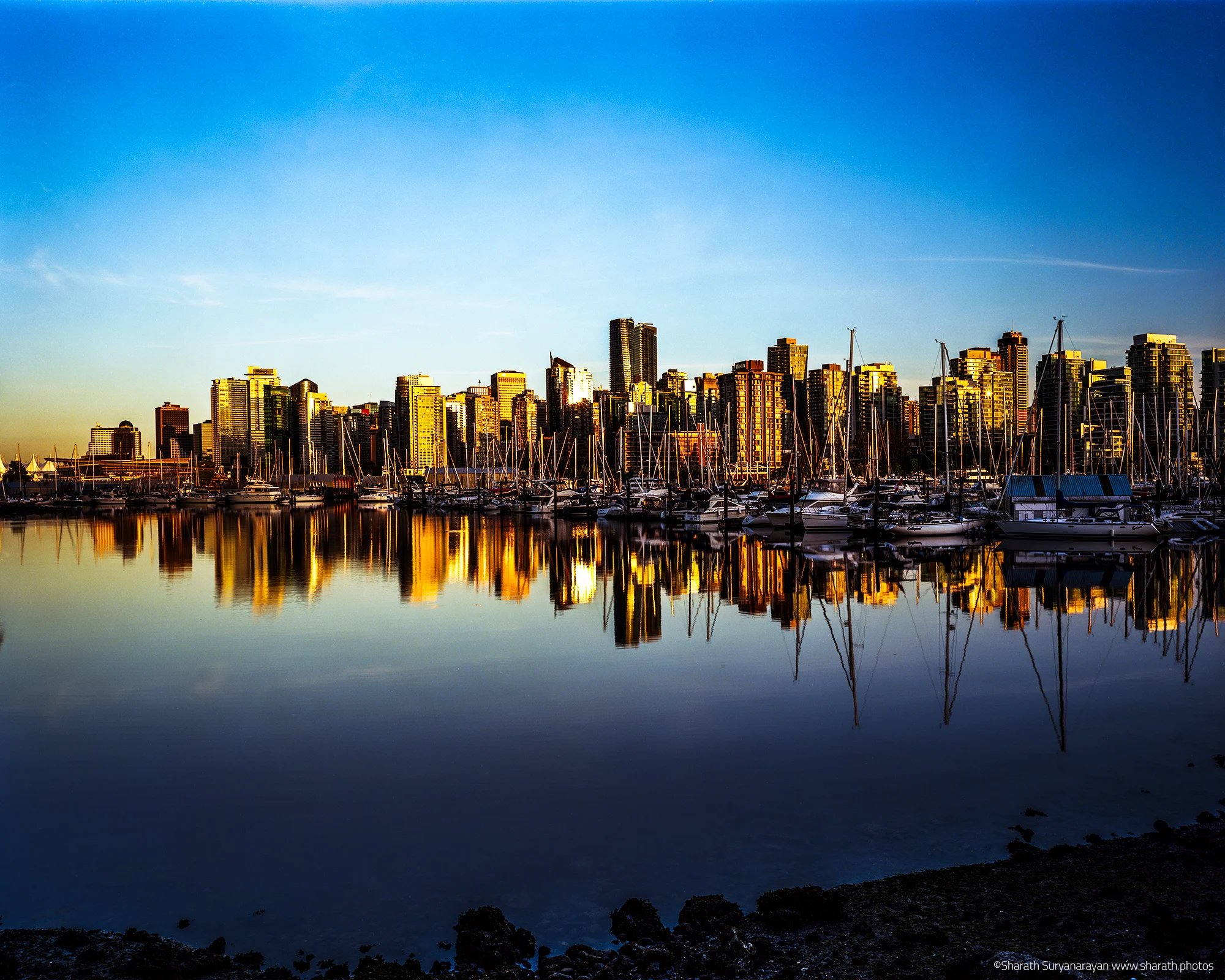View of Vancouver Downtown from Stanley Park