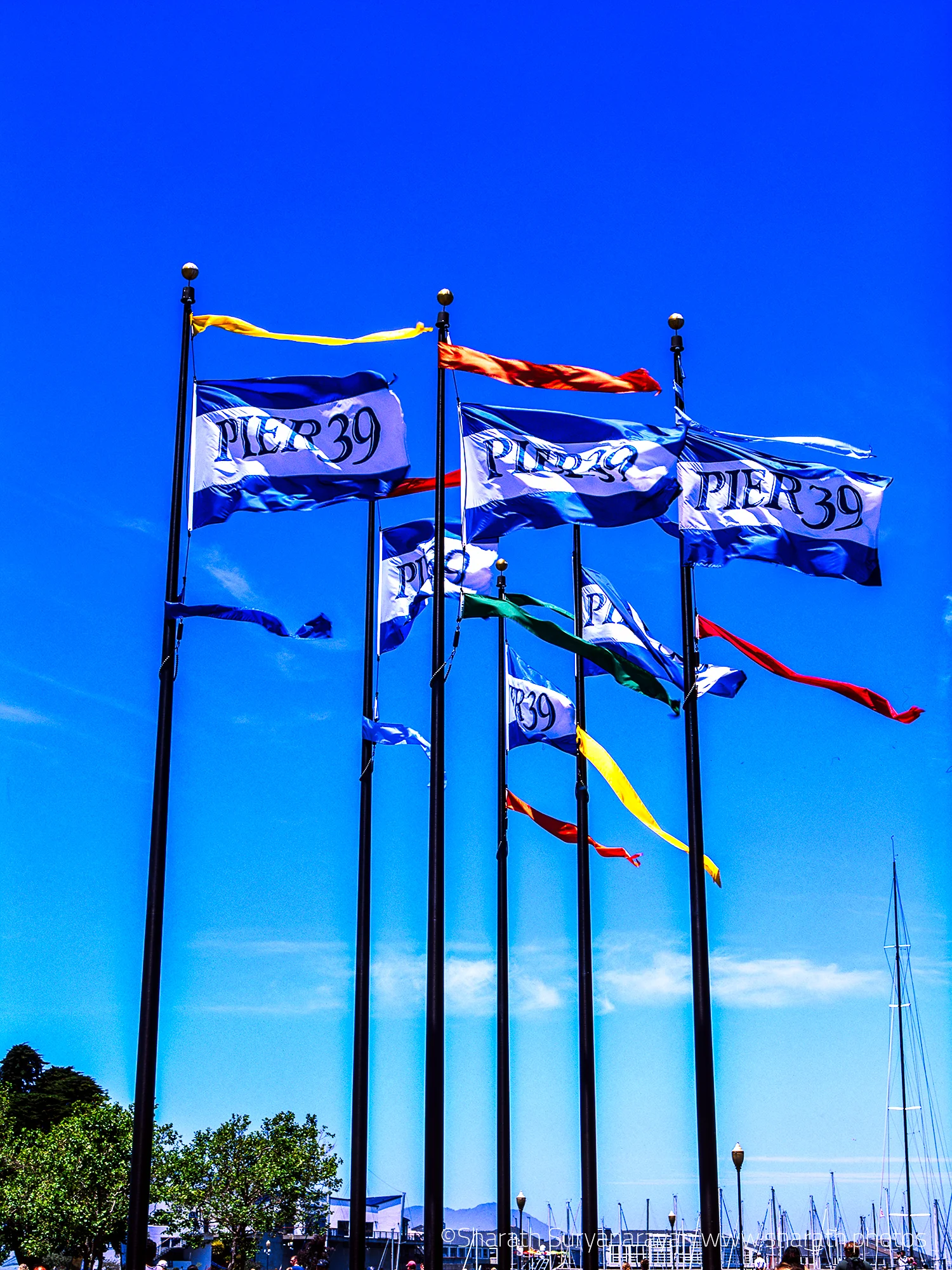 Pier 39 - very touristy!