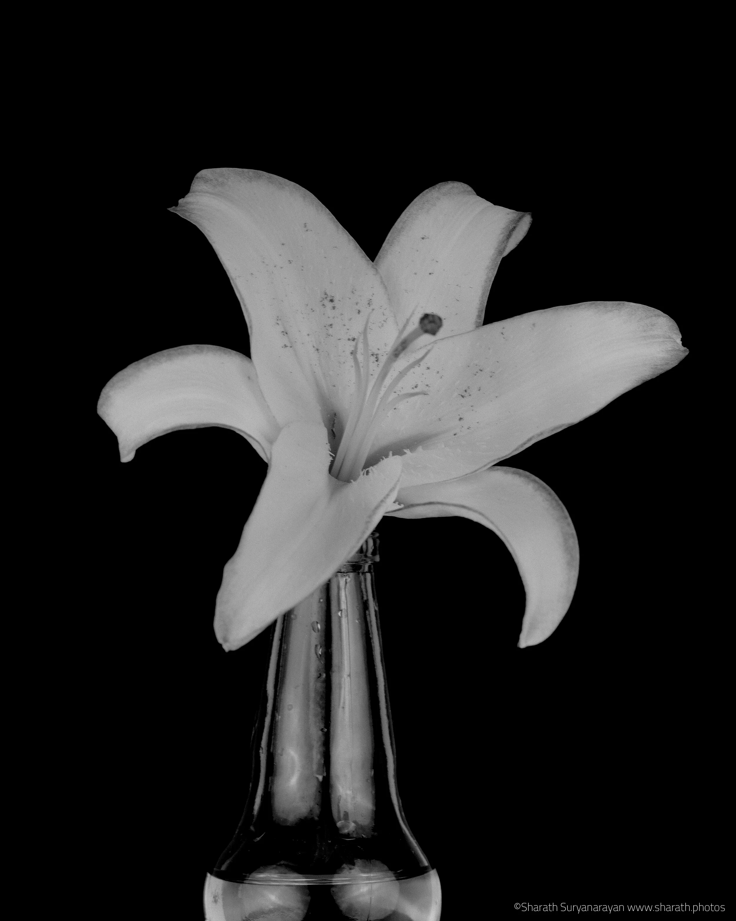  4X5, Ilford Delta 100 