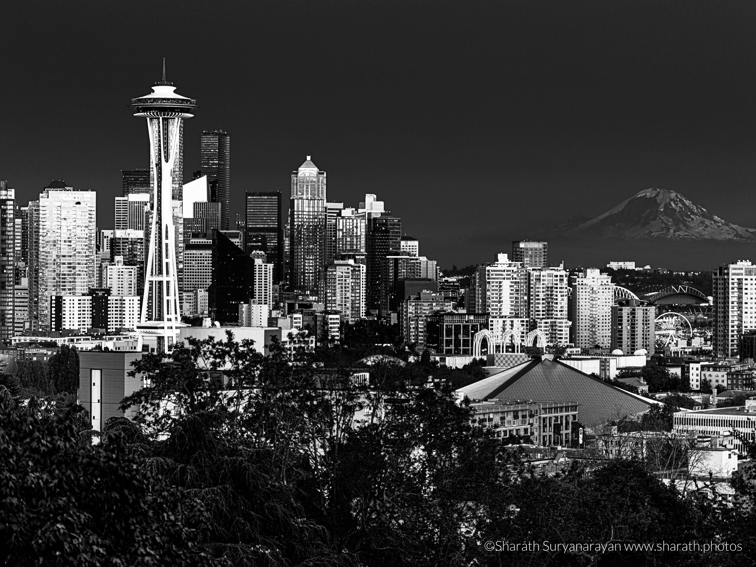 KerryPark-Seattle--3.jpg