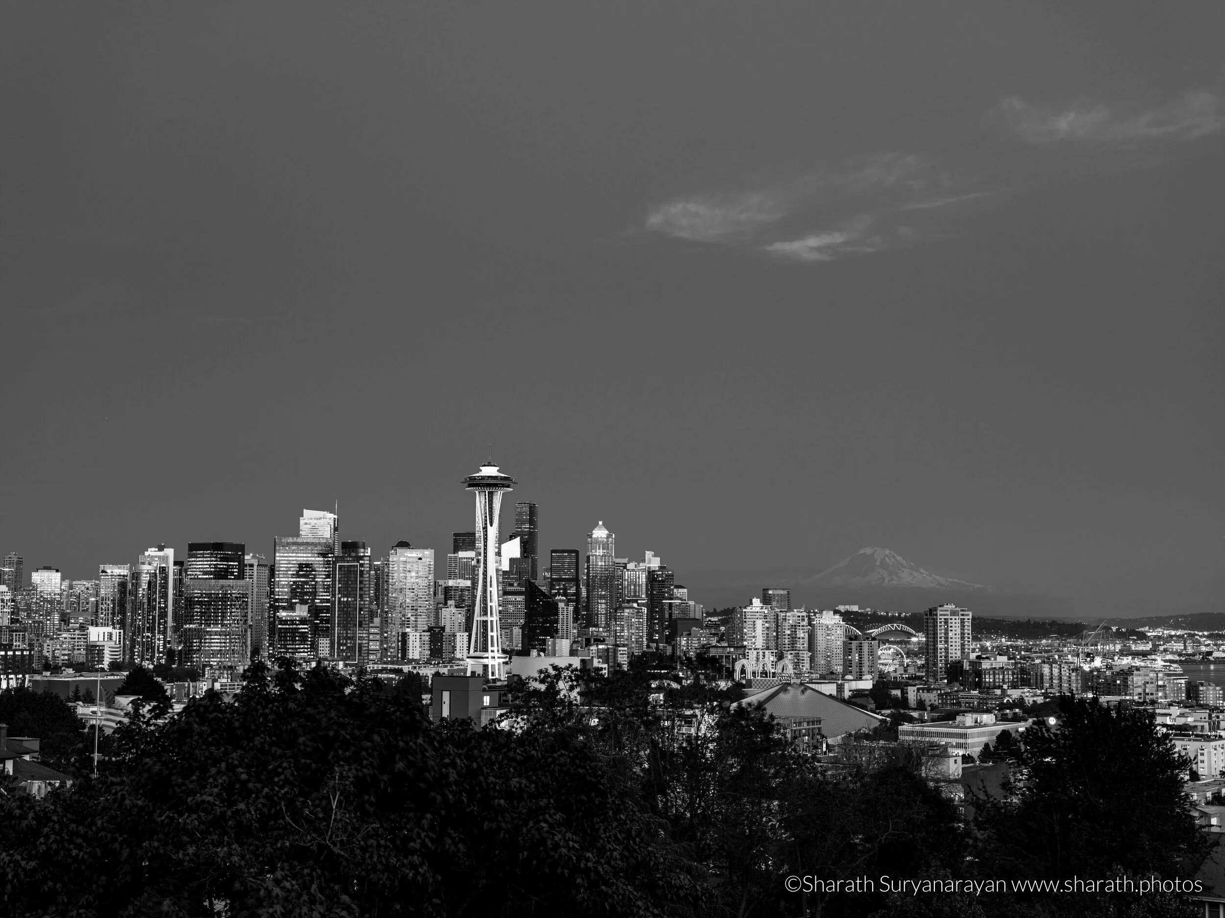 KerryPark-Seattle--6.jpg