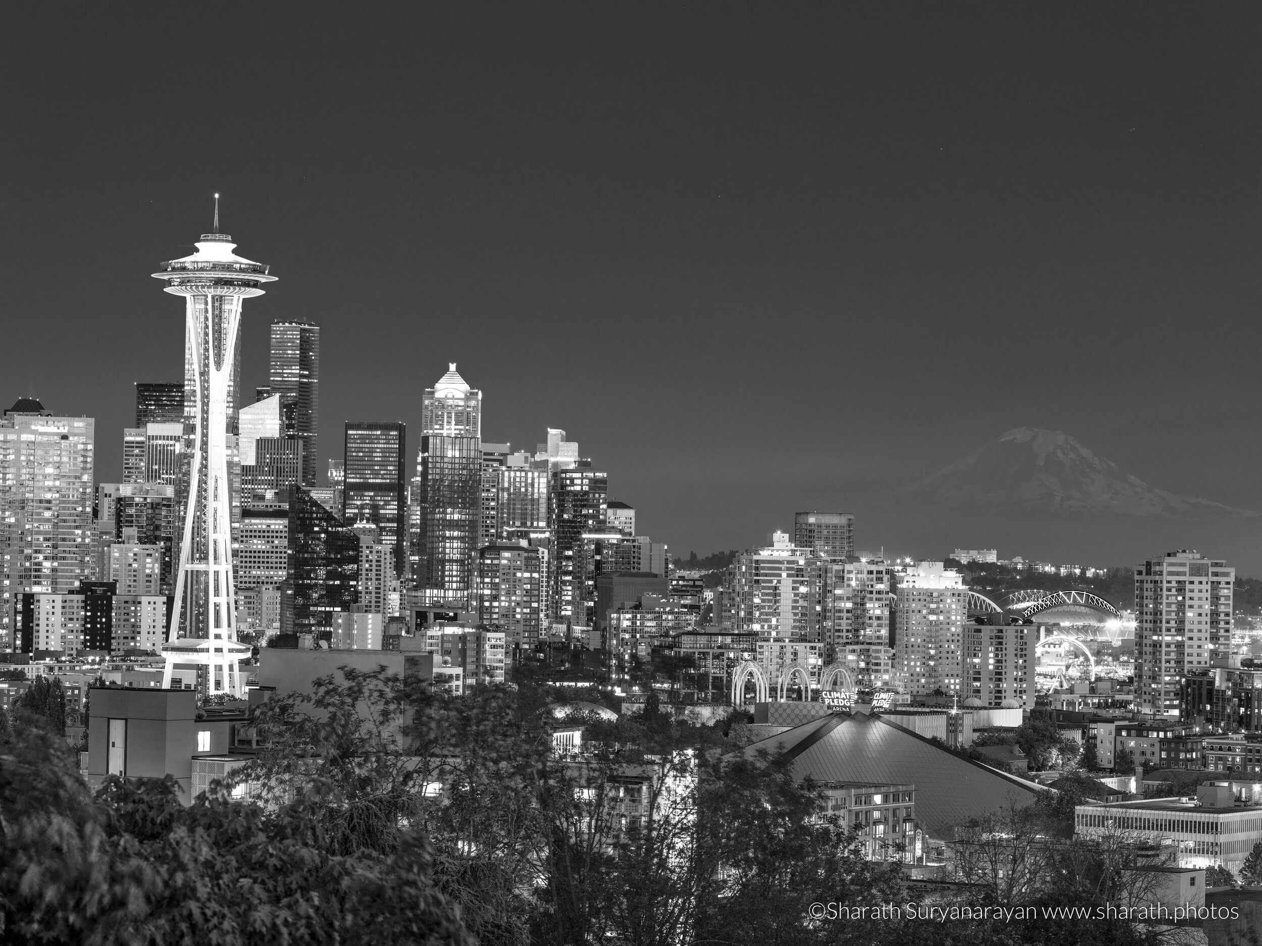 KerryPark-Seattle--10.jpg