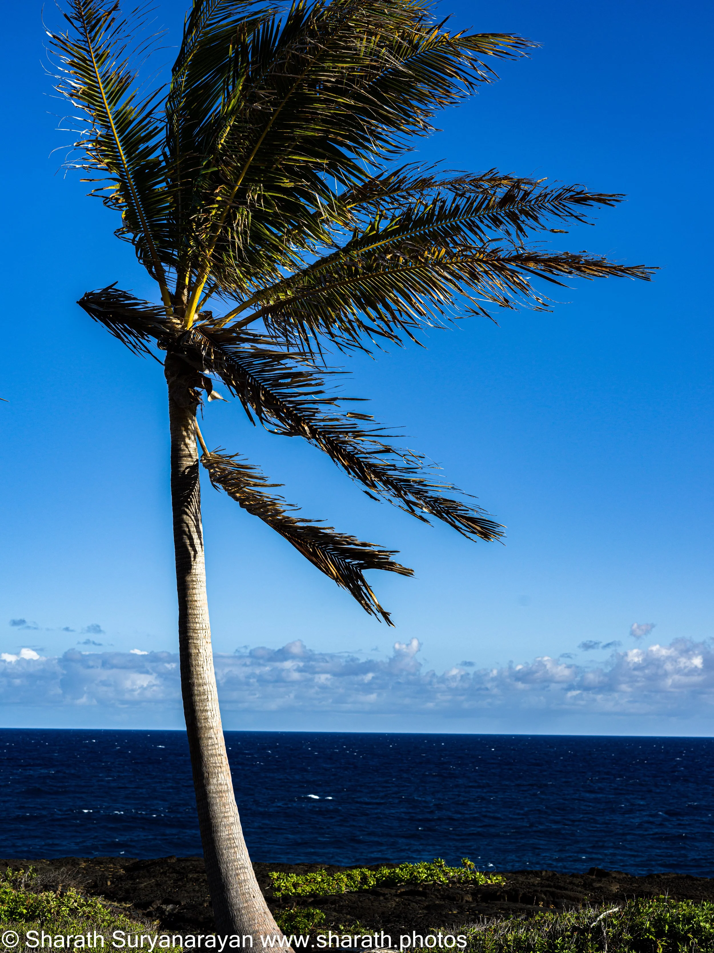 Hawaii-Big Island Landscapes-14.jpg