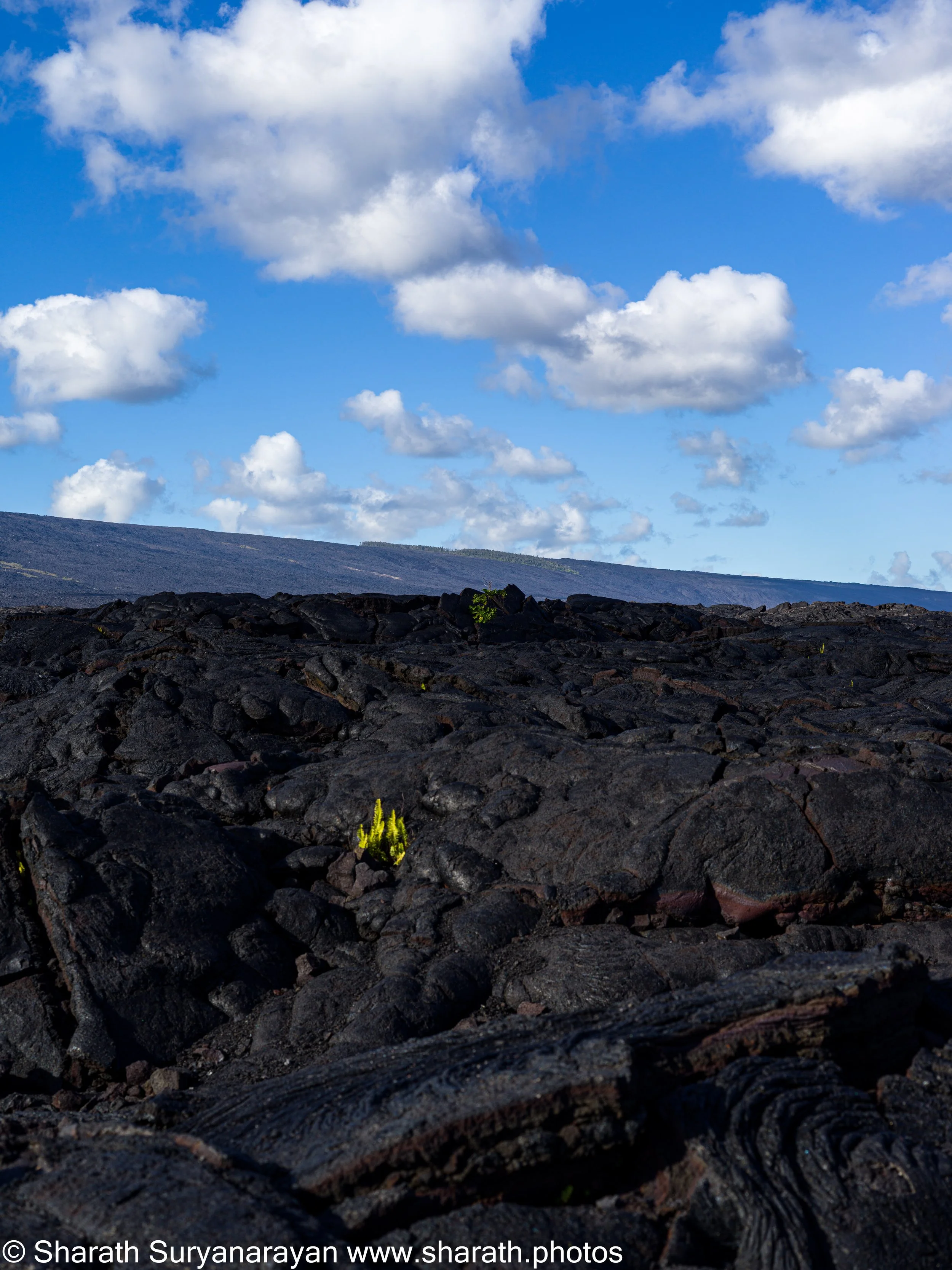 Hawaii-Big Island Landscapes-11.jpg