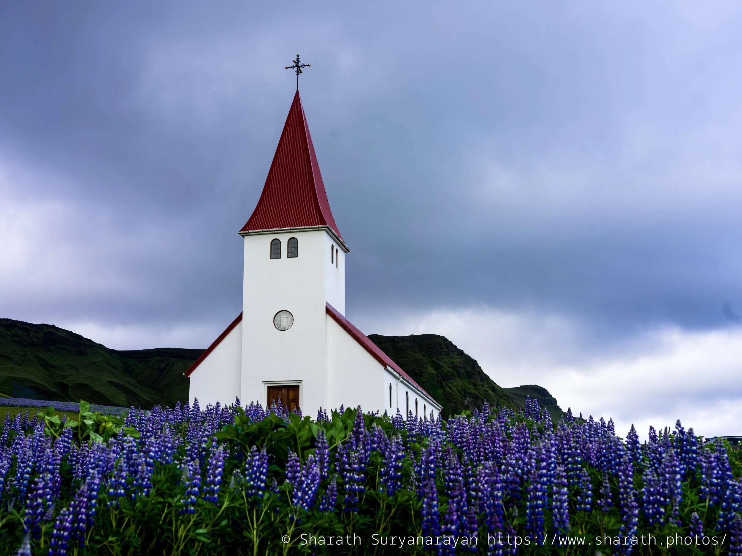 Iceland-20240619-13.jpg