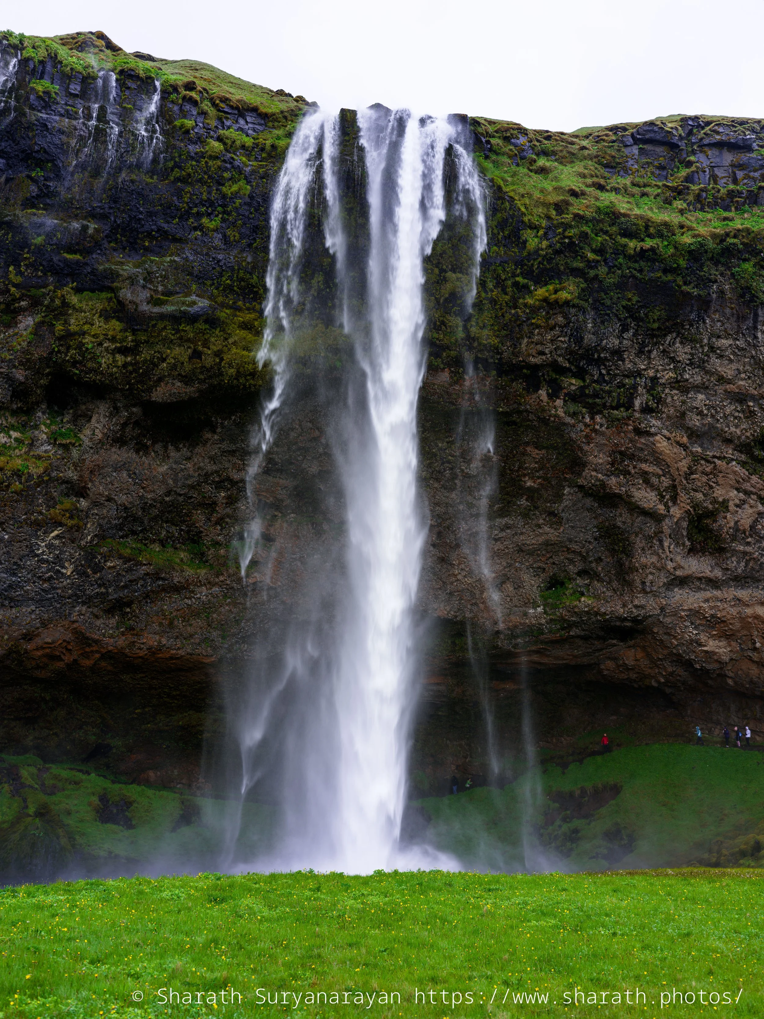 Iceland-20240619-11.jpg