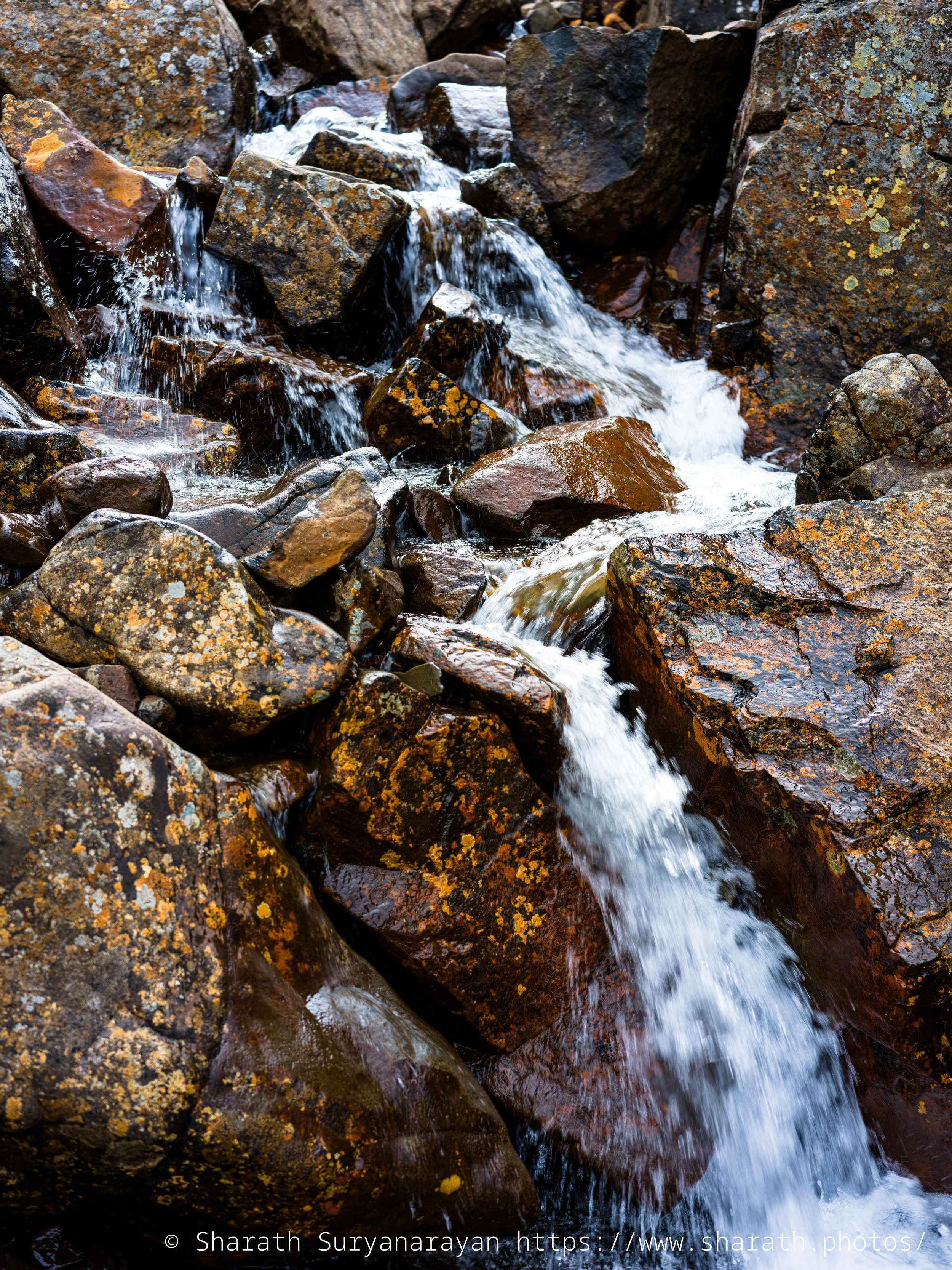 Iceland-20240621-38.jpg