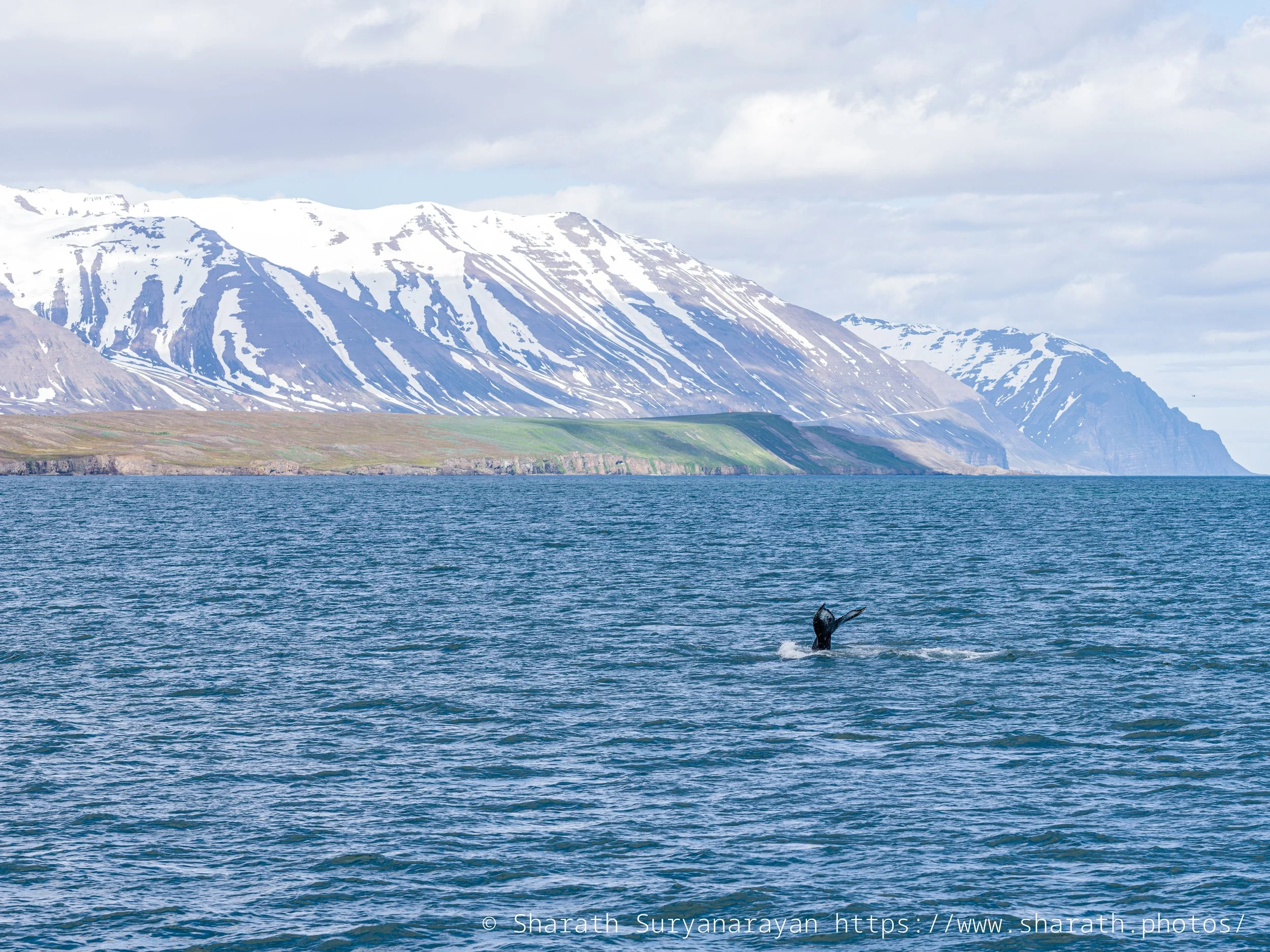 Iceland-20240624-64.jpg