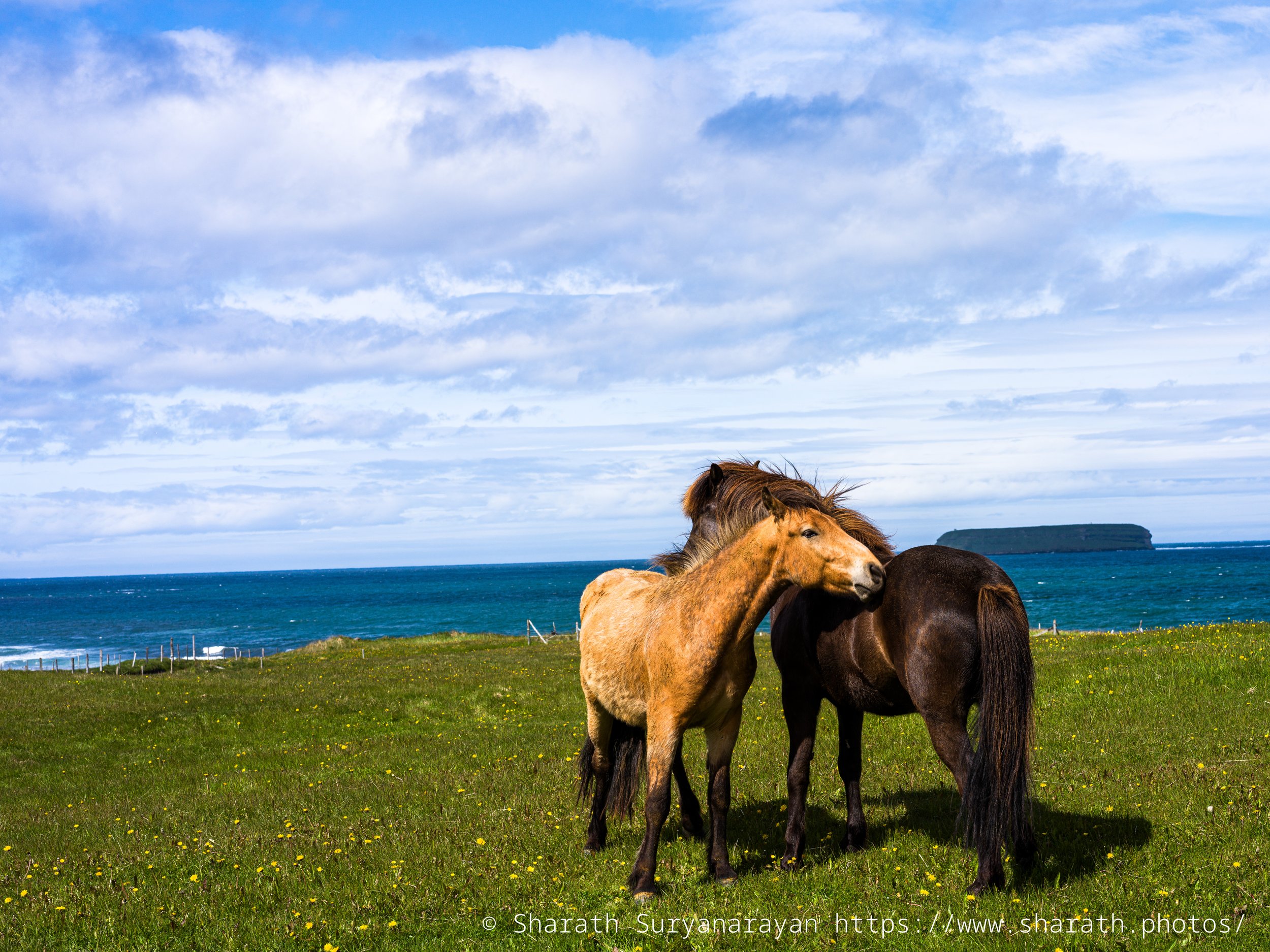 Iceland-20240623-48.jpg