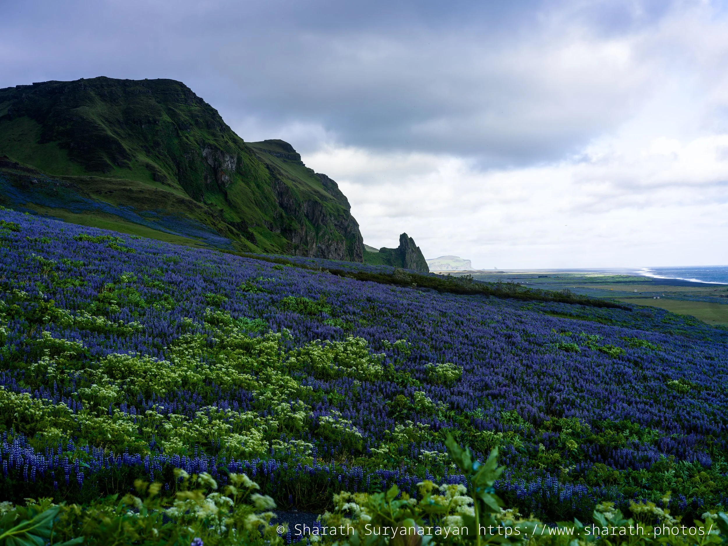Iceland-20240619-14.jpg