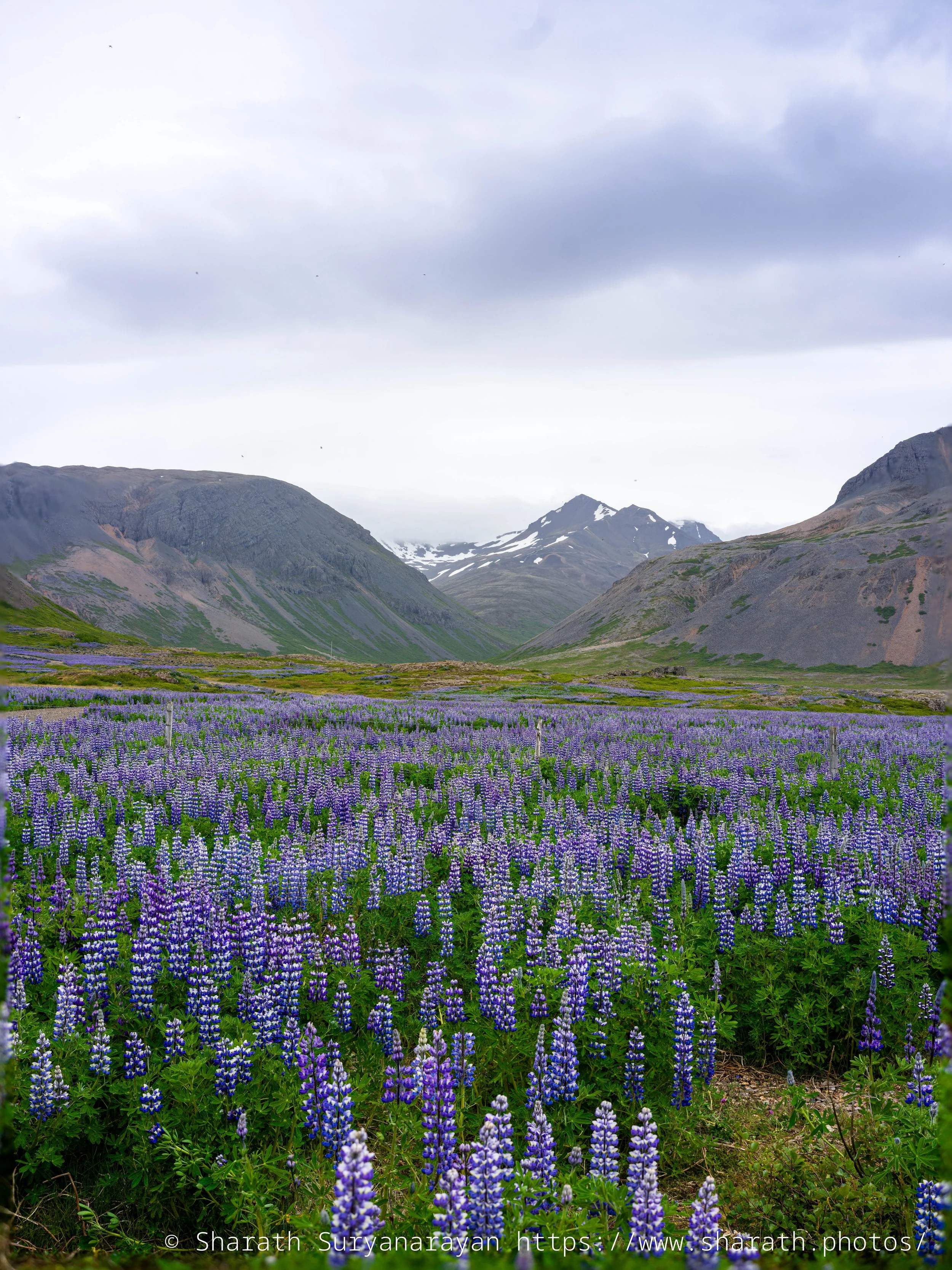 Iceland-20240621-35.jpg