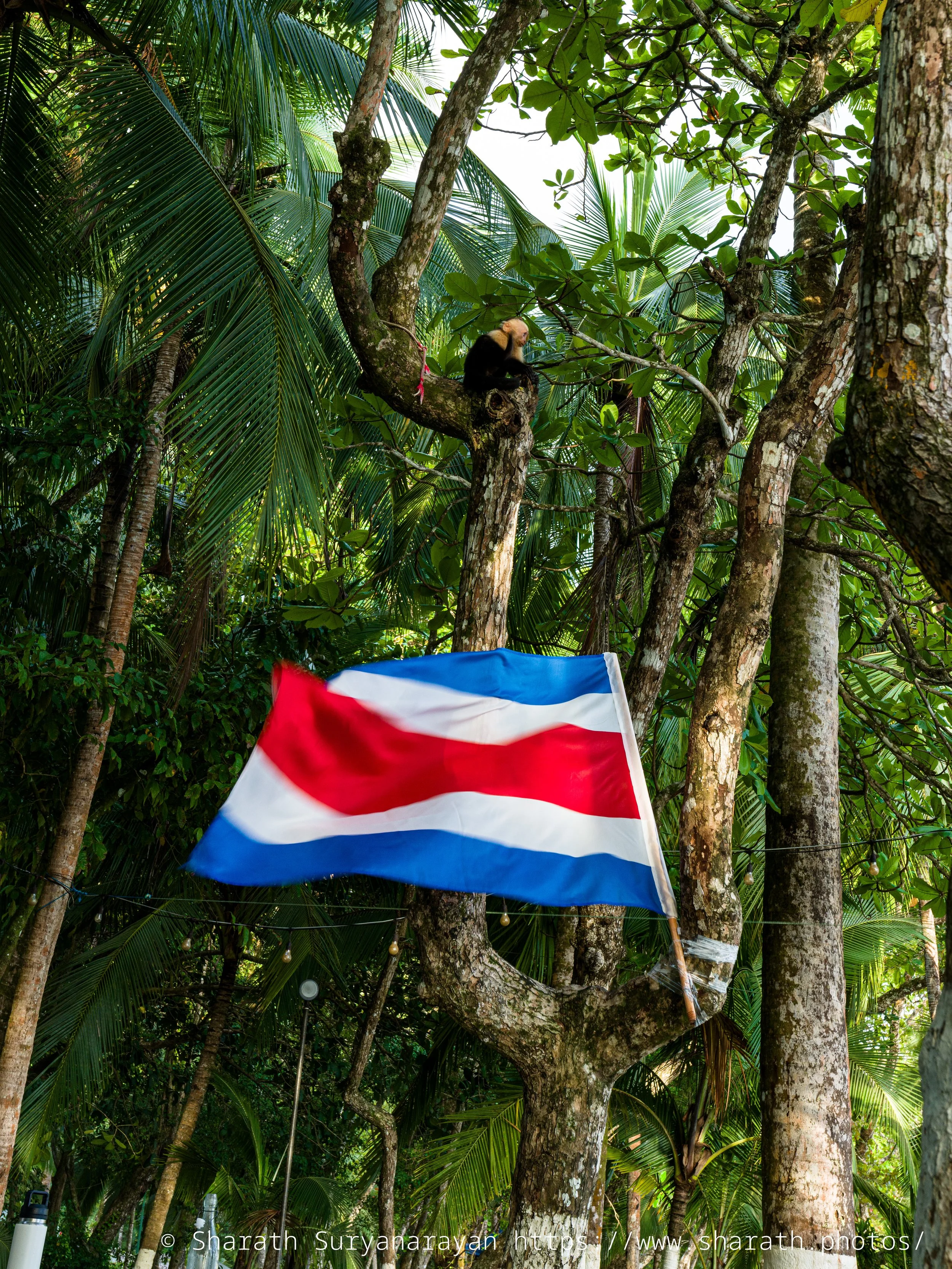 CostaRica-4.jpg