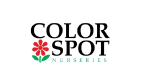 colorspot.jpg