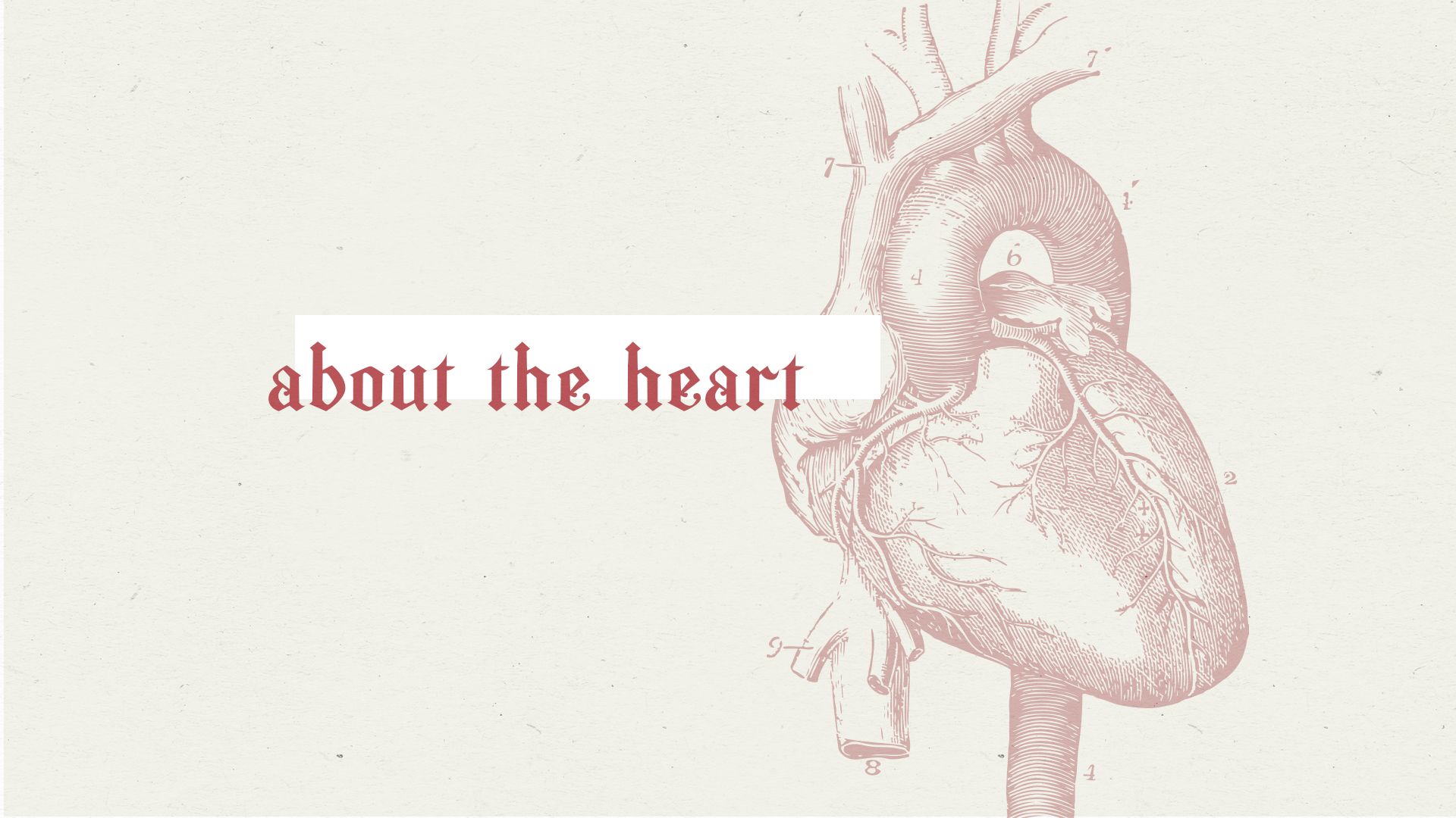About The Heart