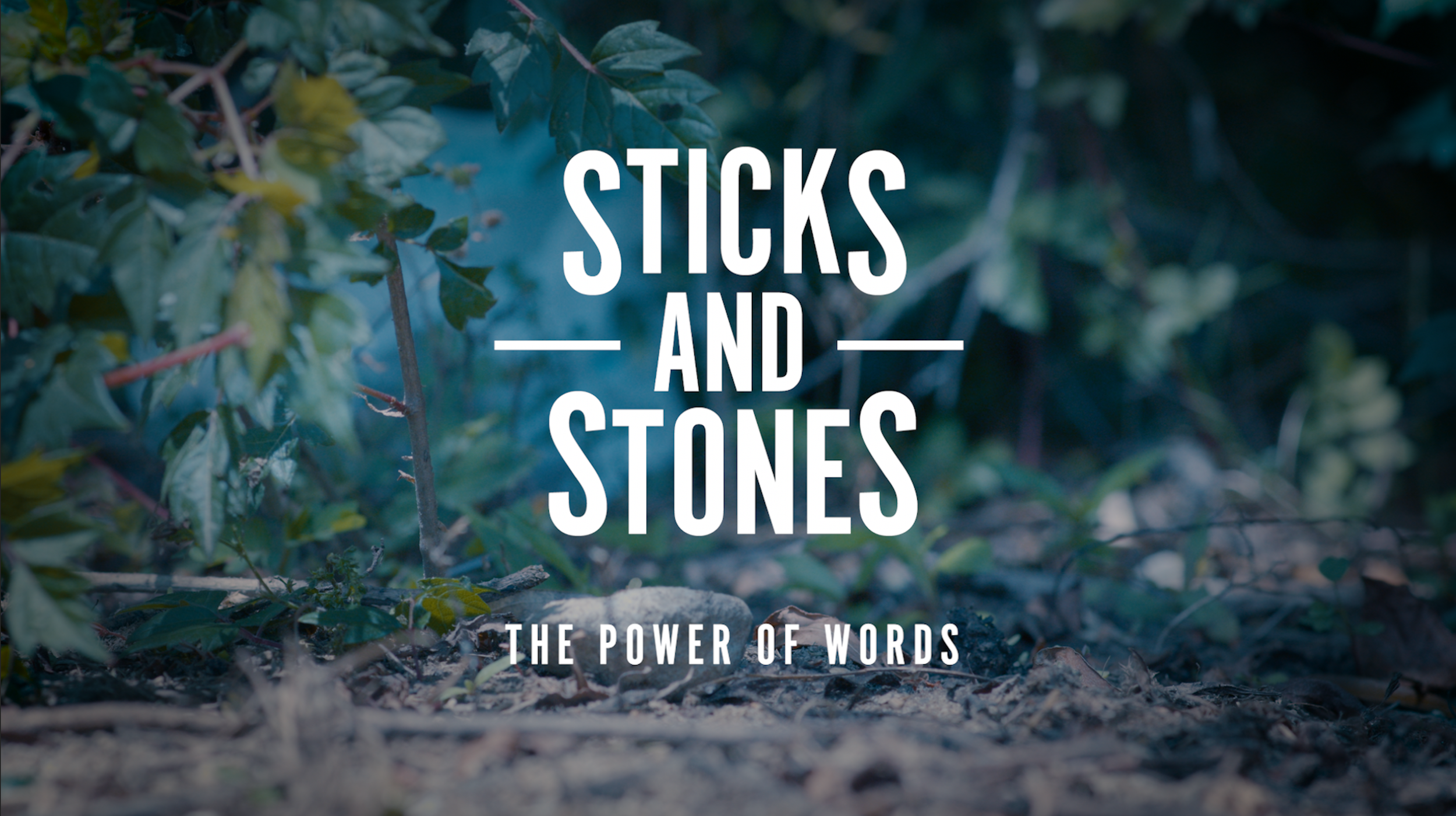 Sticks and Stones