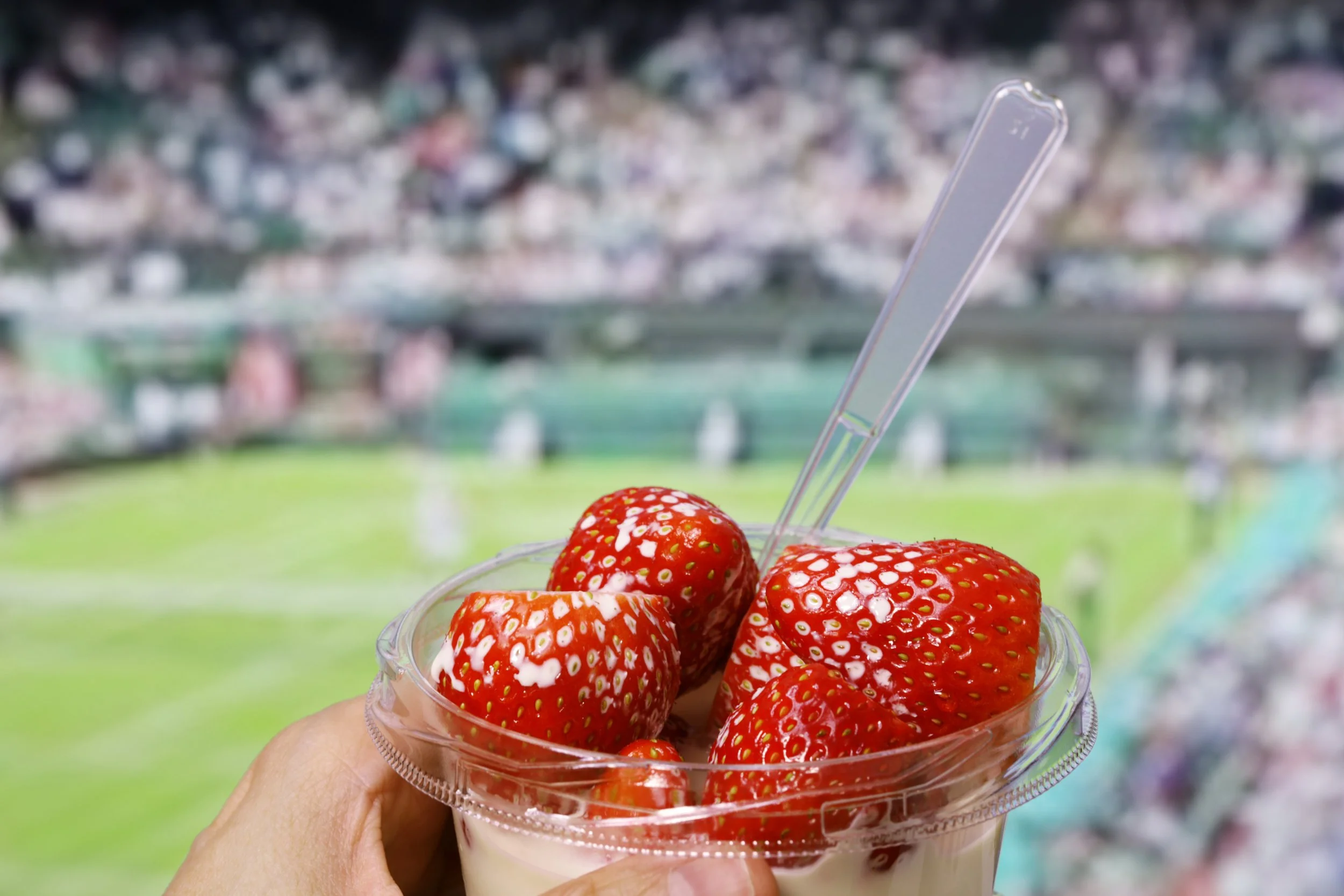 Watch Wimbledon Upstairs 