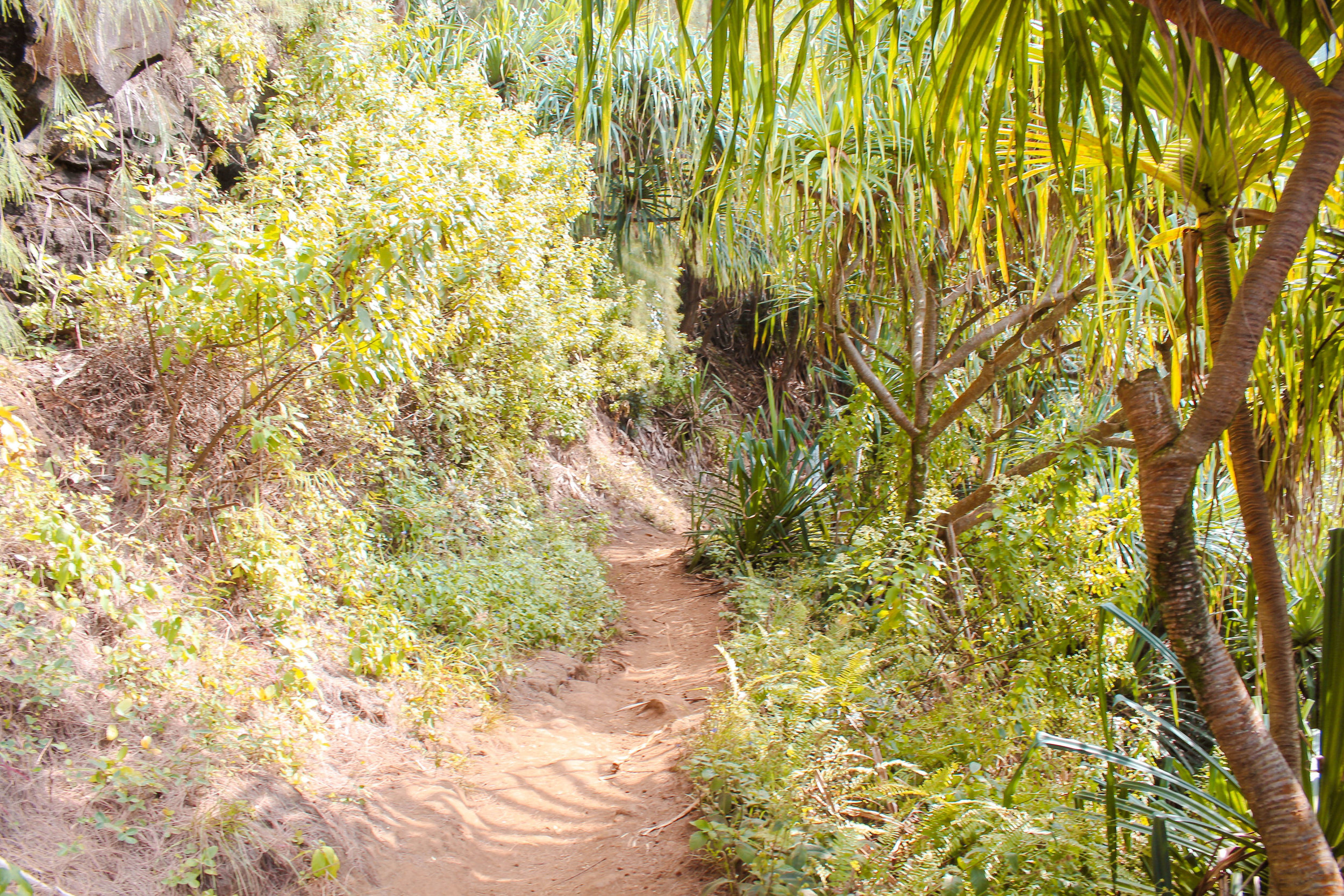 Epic Hike Along Kauai's Na Pali Coast