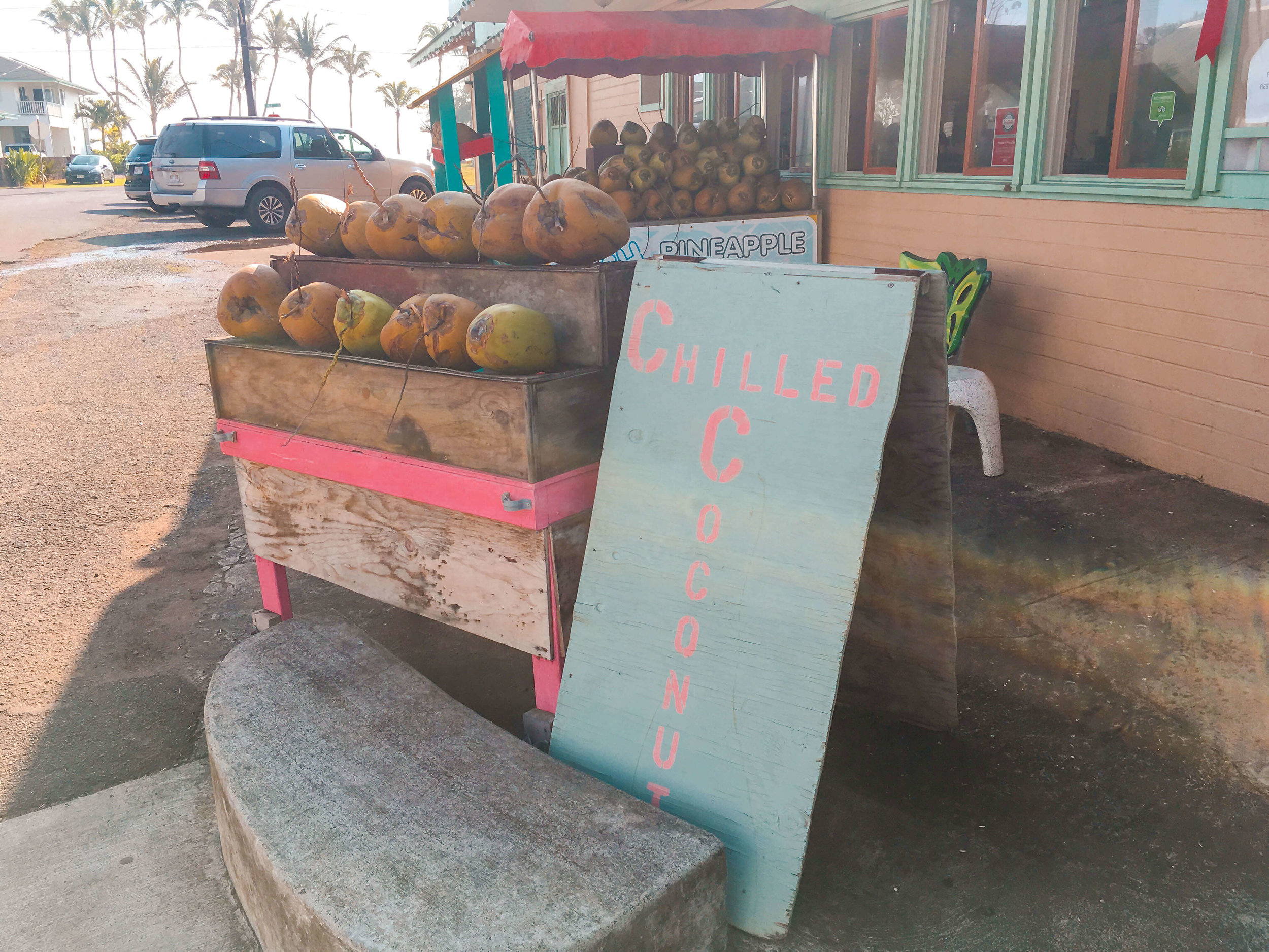 Hawaii Travel Diary - Coconuts