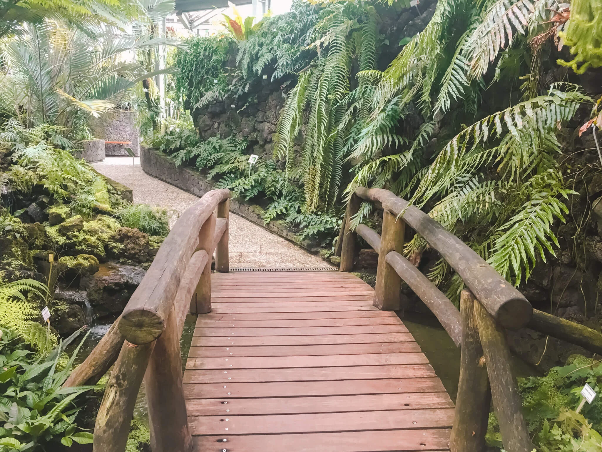 The 5 Phases Of Moving Abroad