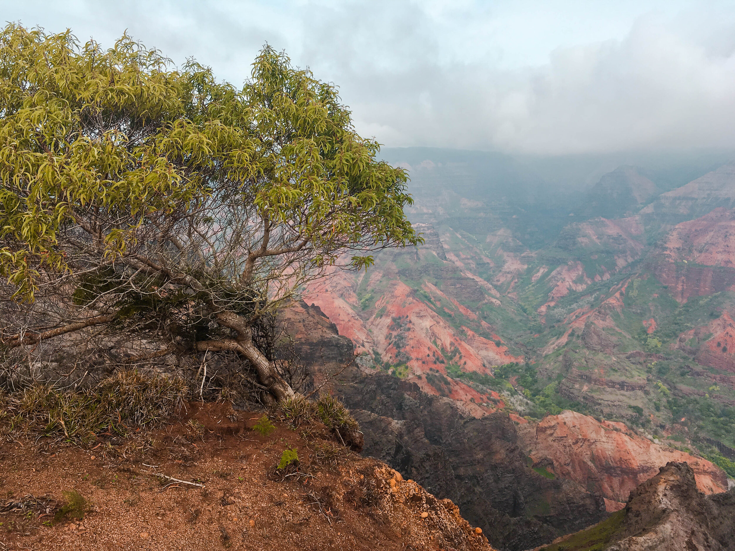 A Stay On Kauai - Hawaii Travel Diary