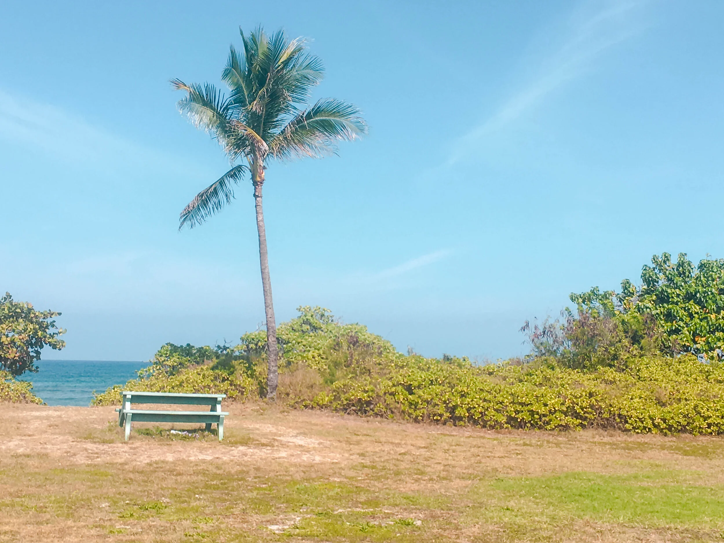 Aloha, Oahu - Hawaii Travel Diary