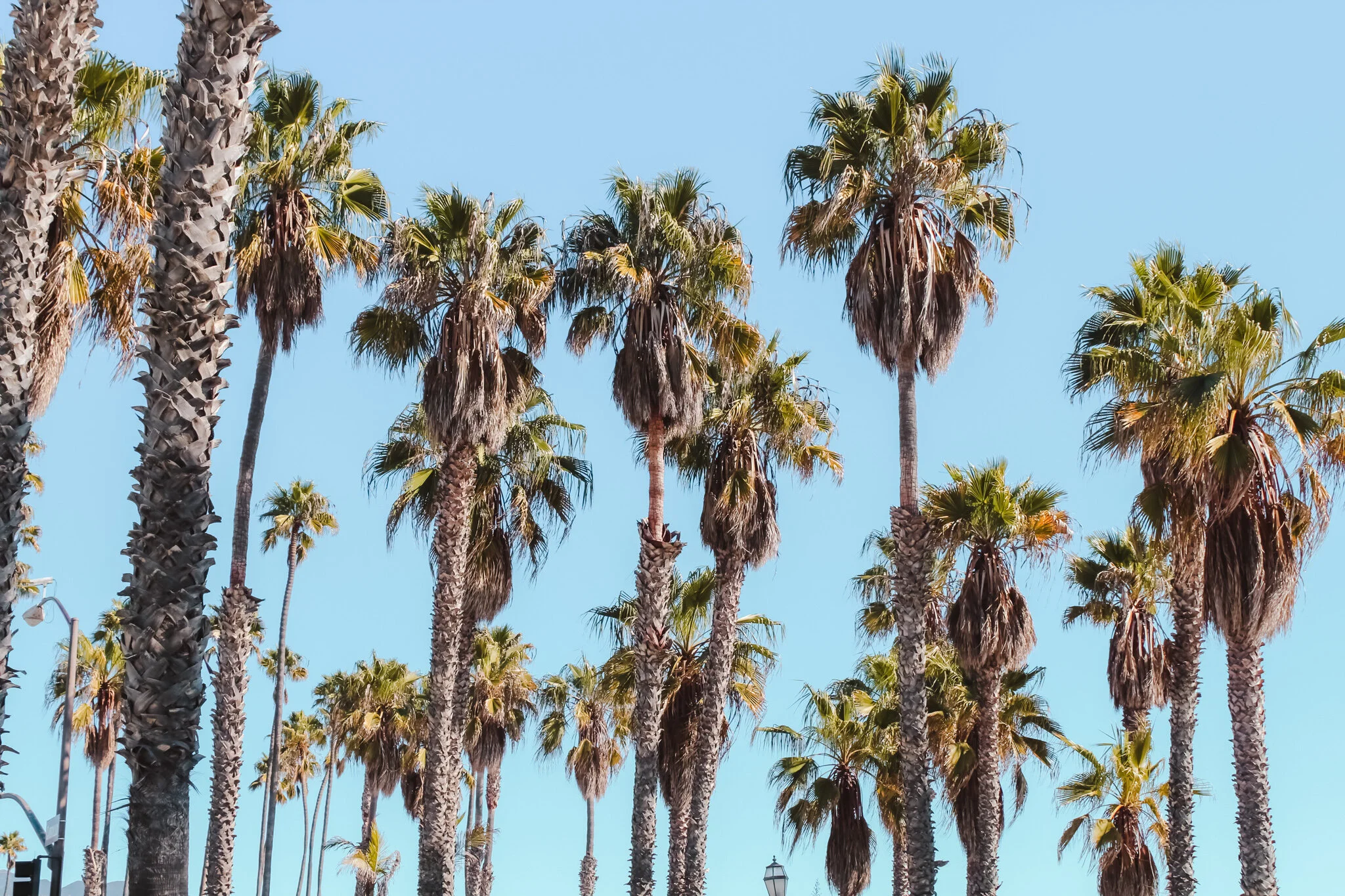 Important Facts For First Time Travelers To California