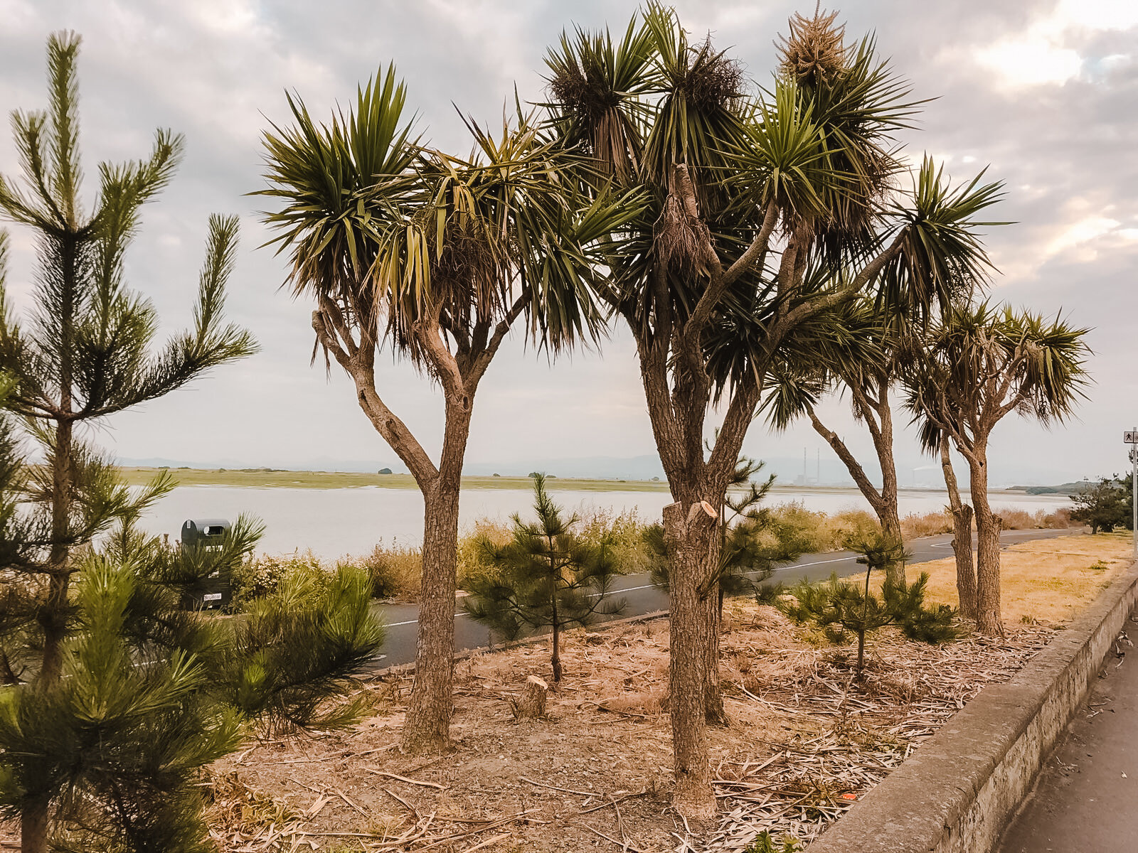 Expat Life: What I Love About Living Abroad