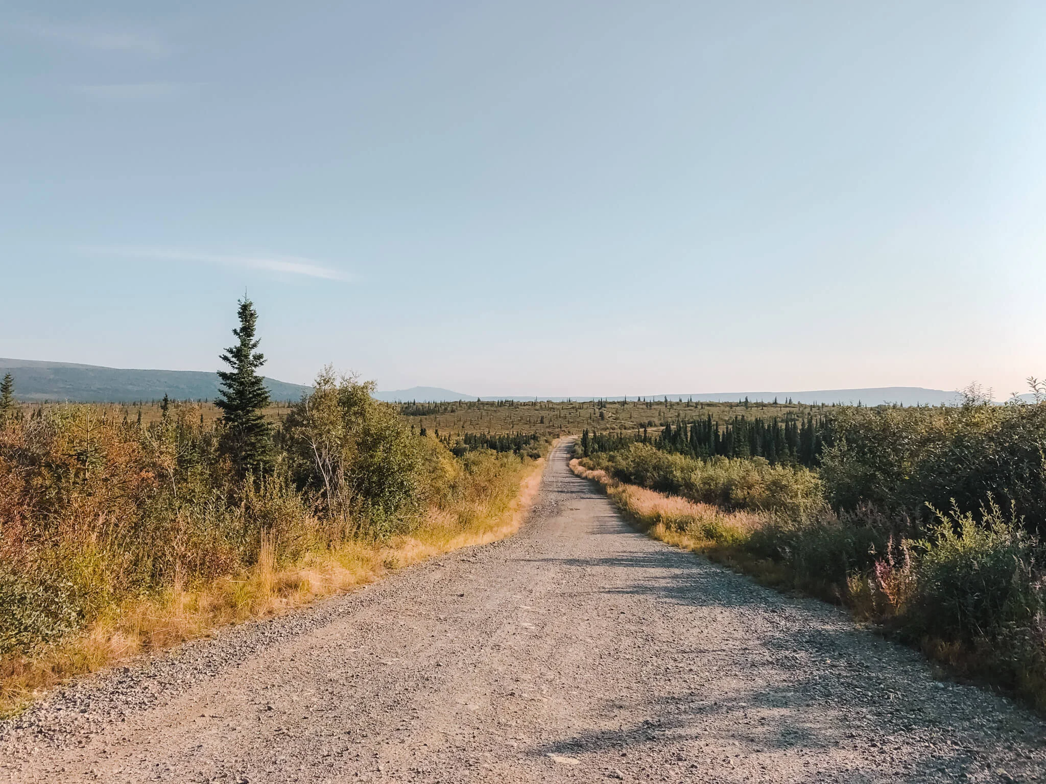 I Hiked To The Magic Bus - Alaska Travel Diary